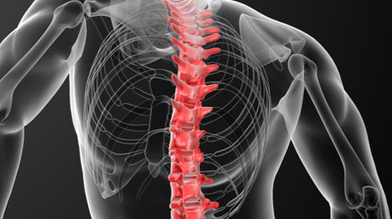 White Lake Chiropractic 1030 S Mears Ave, Whitehall Michigan 49461