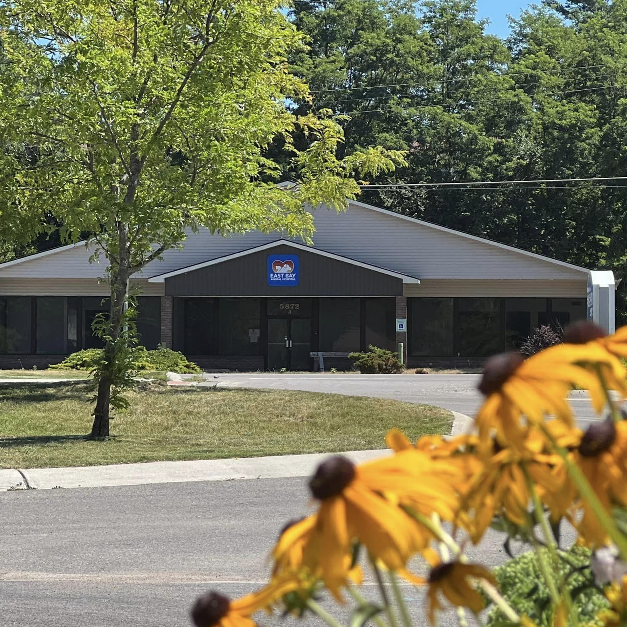 East Bay Pet Hospital Williamsburg