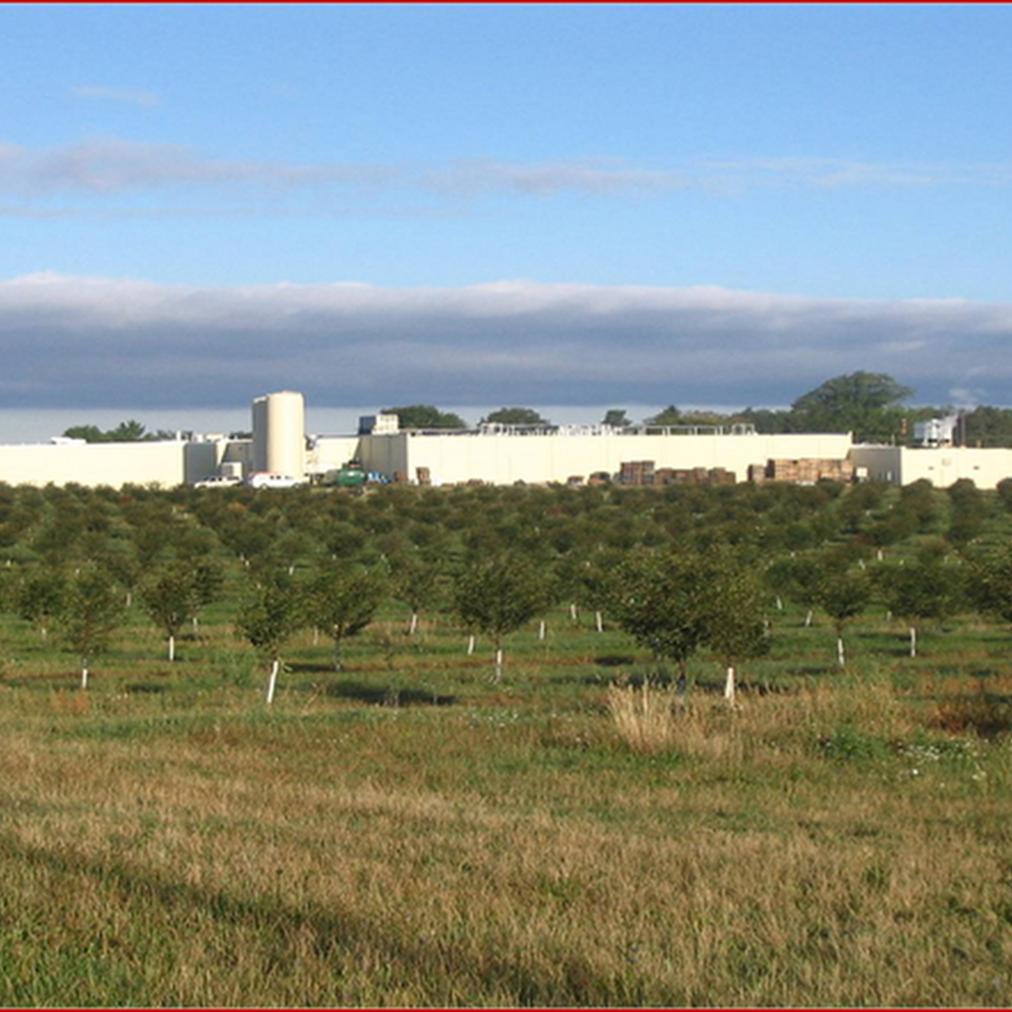 Shoreline Fruit Williamsburg