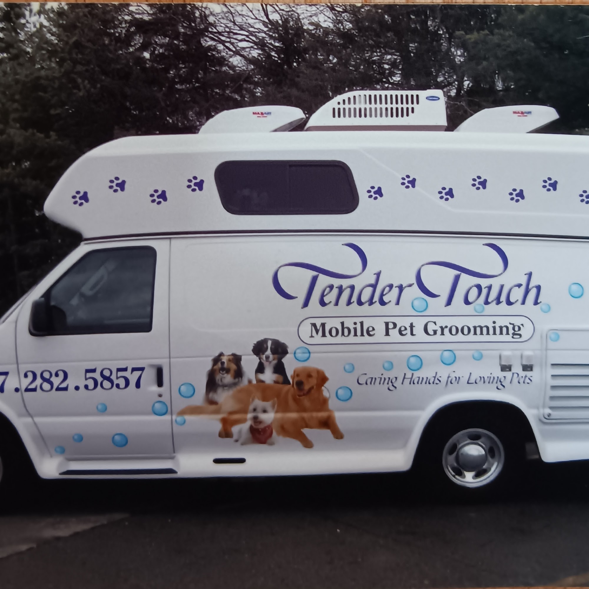 Tender Touch Mobile Pet Grooming Williamston