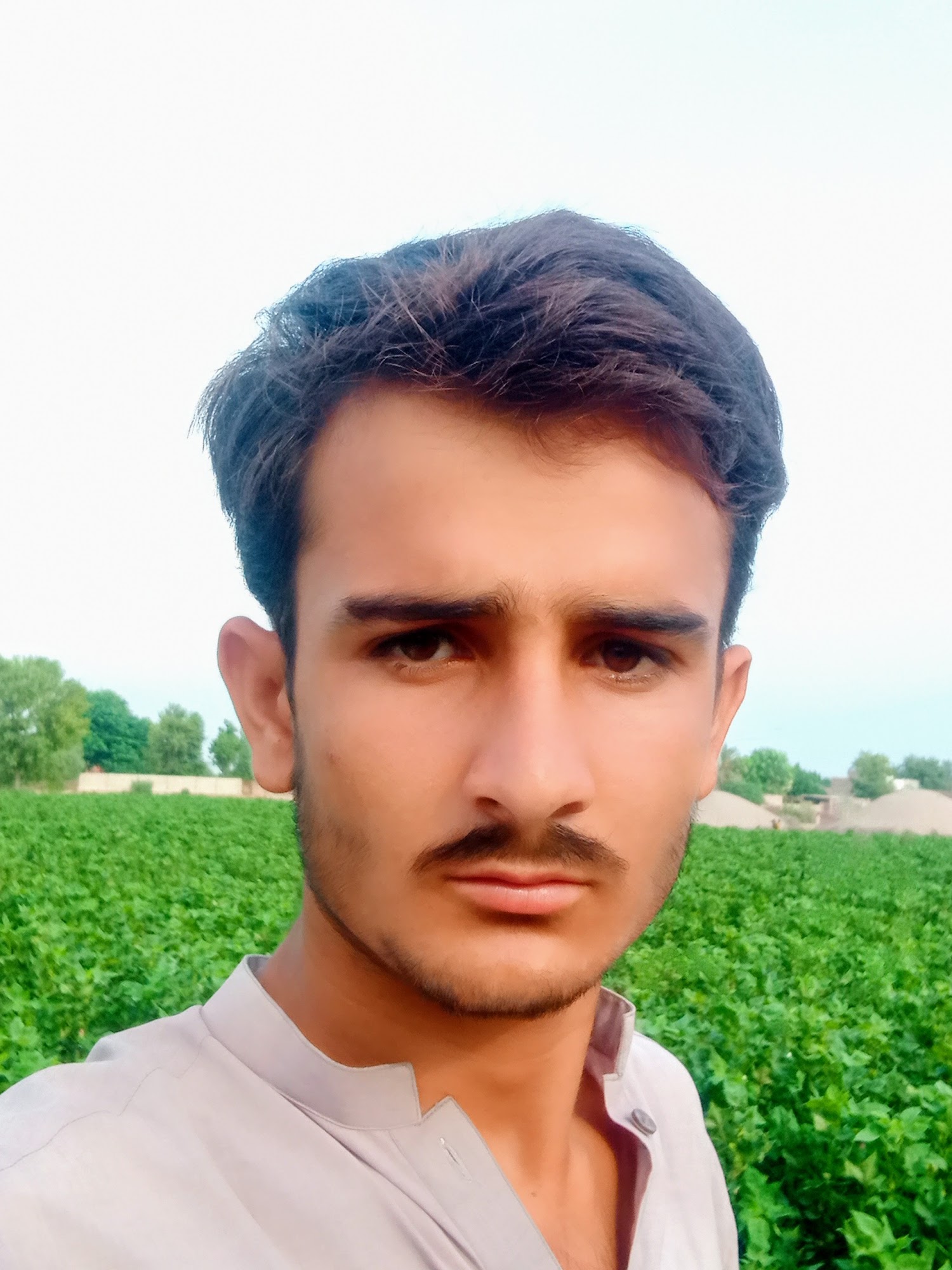 Windsor Animal Clinic