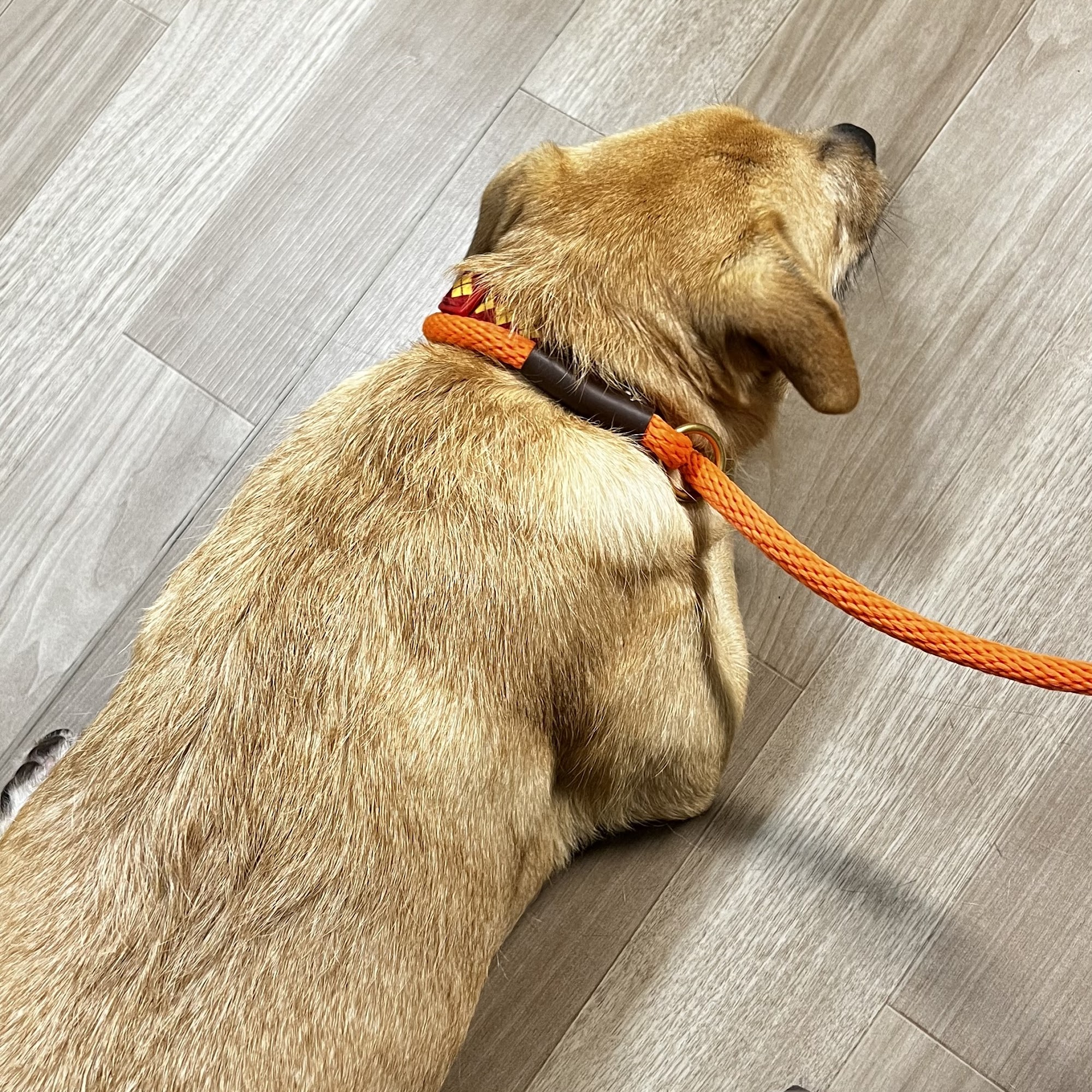 Wixom Family Pet Practice Wixom