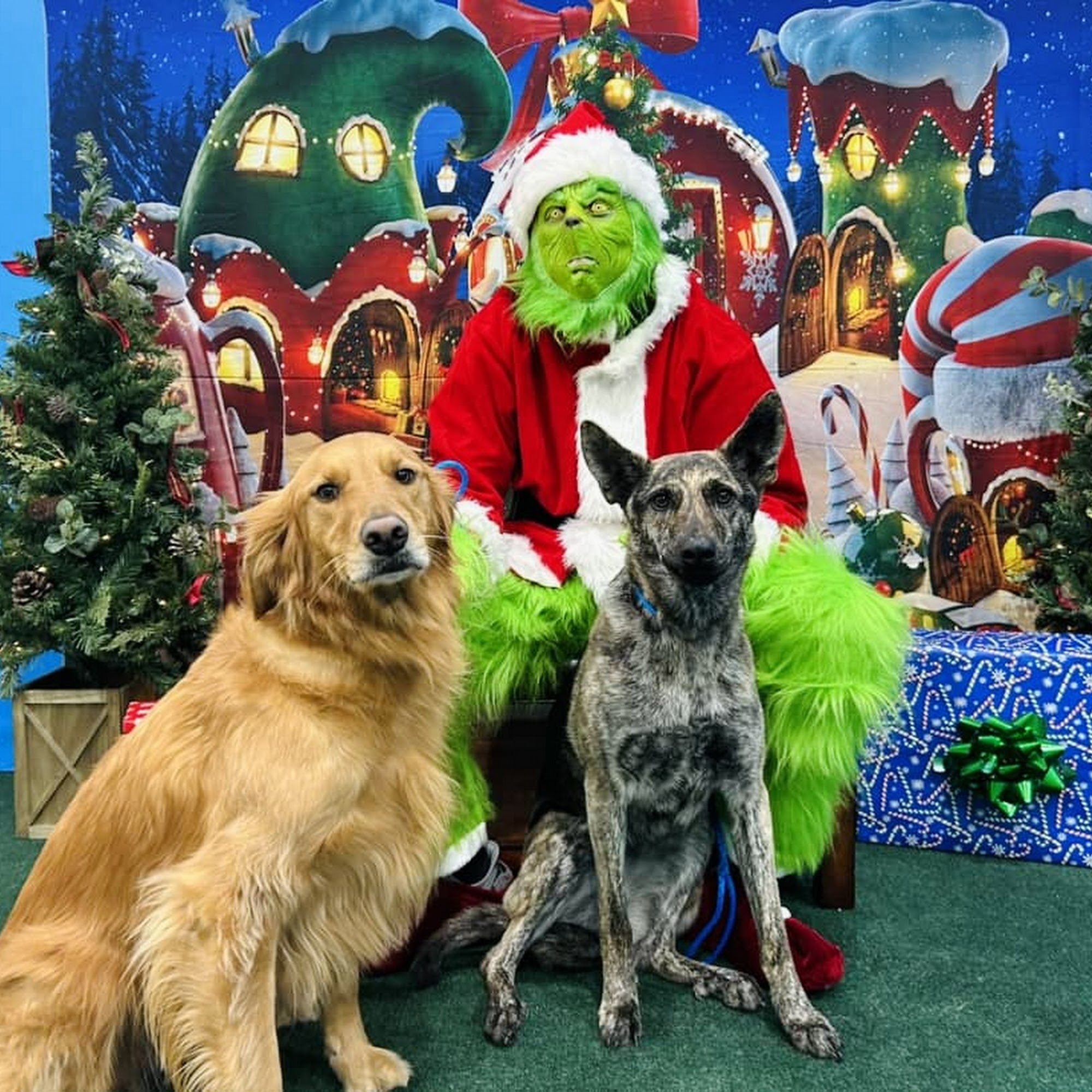 Hounds Town Wixom Wixom