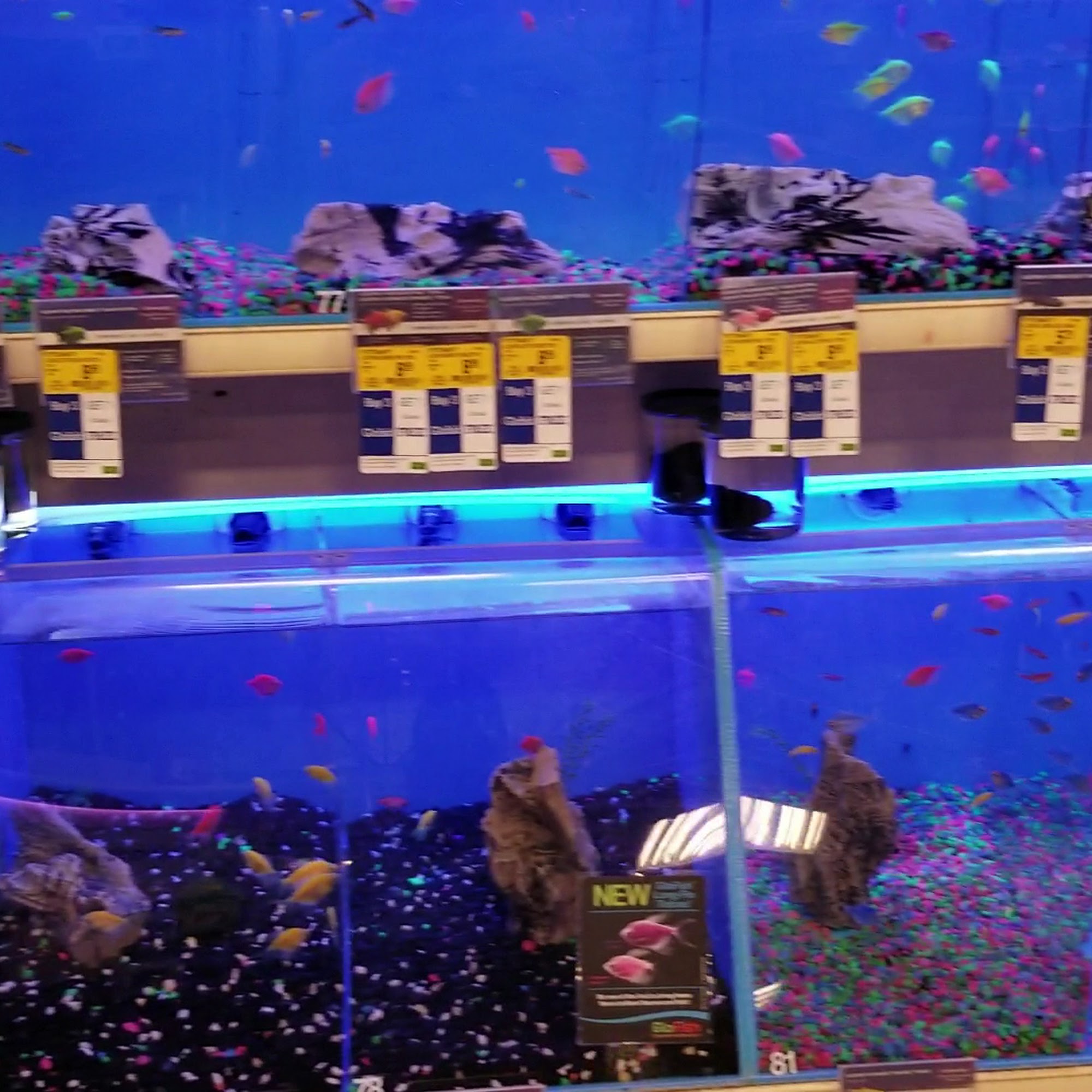 PetSmart Woodhaven