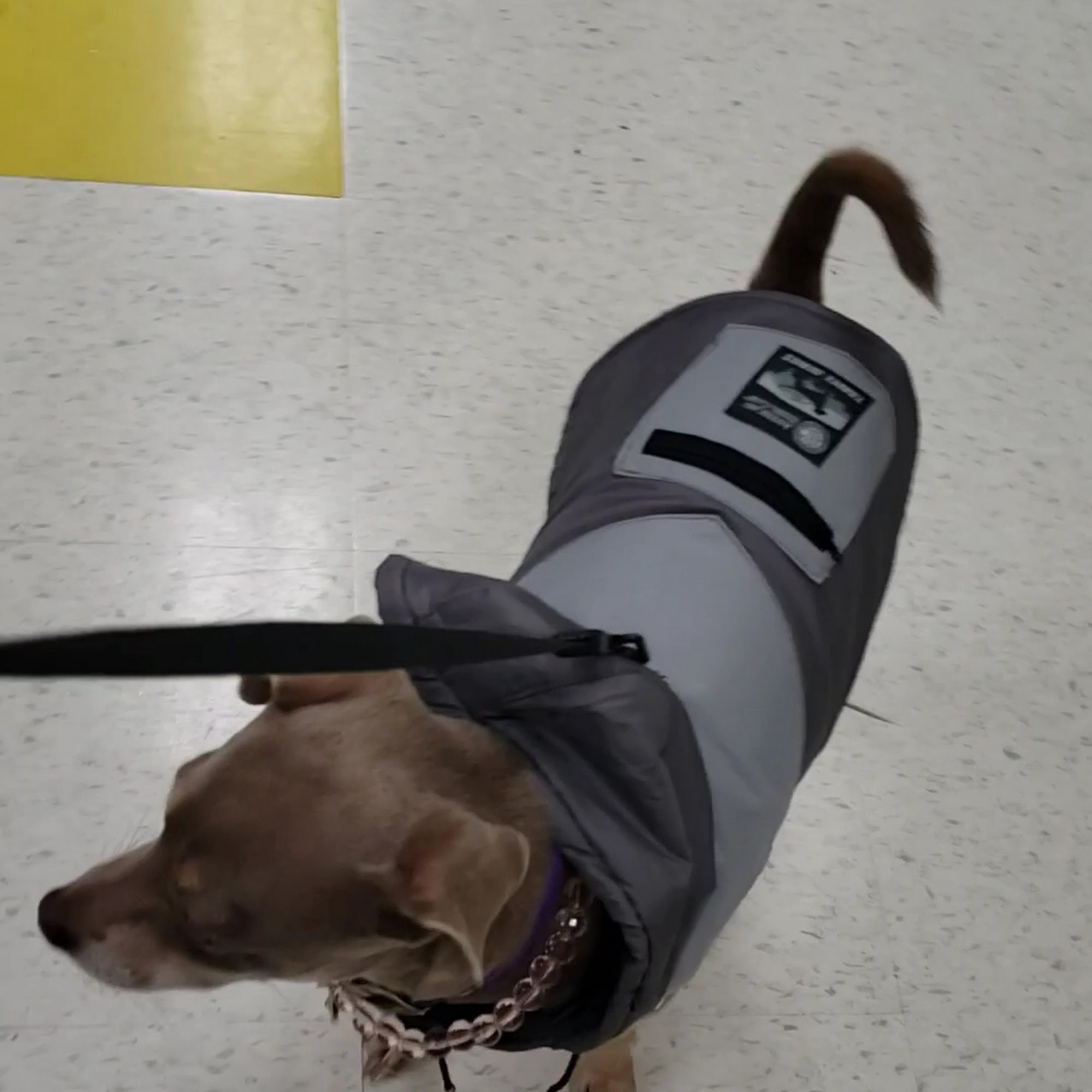 Pet Supplies Plus Wyoming Wyoming