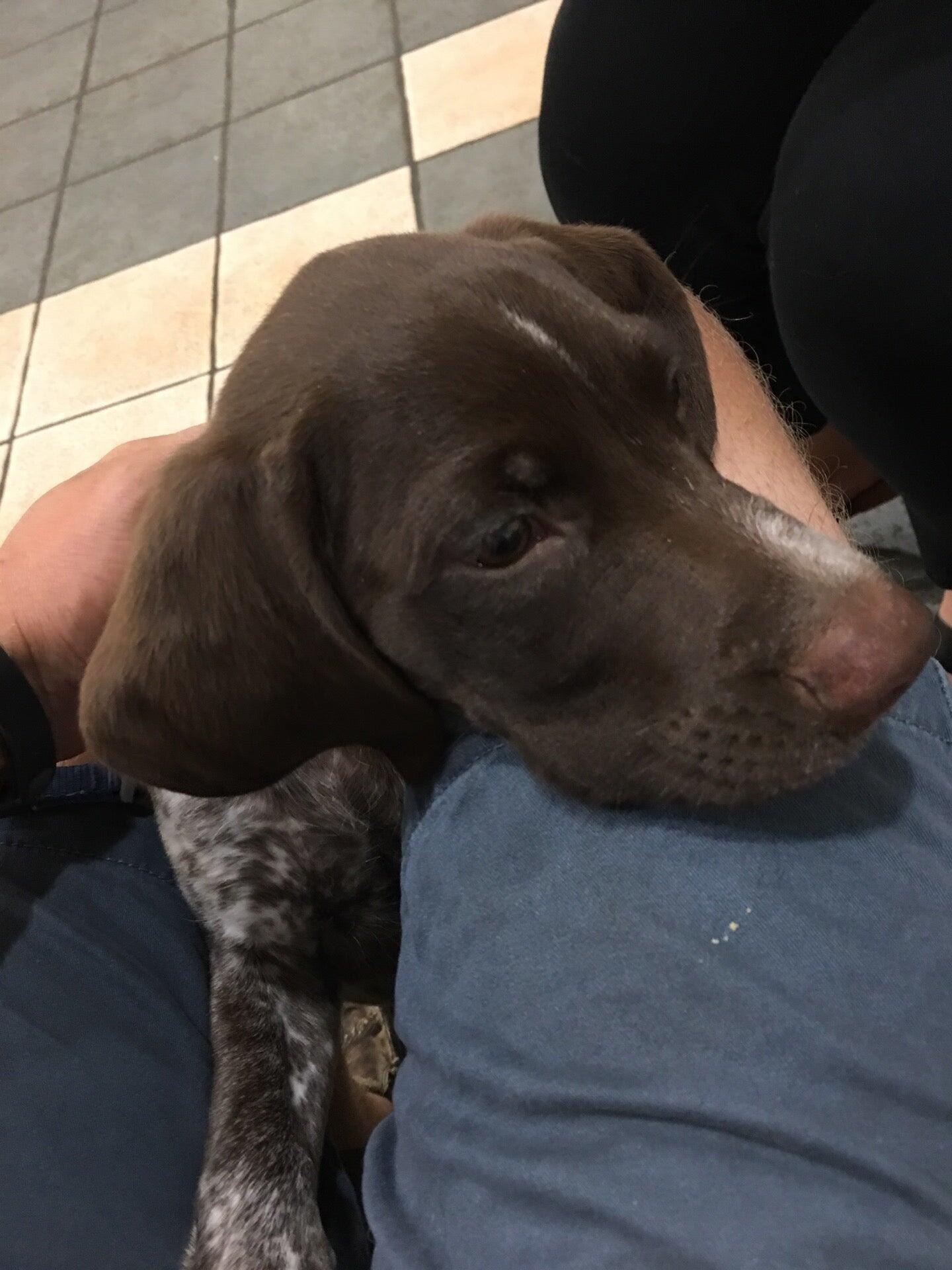 Animal Medical Center of Wyoming Wyoming