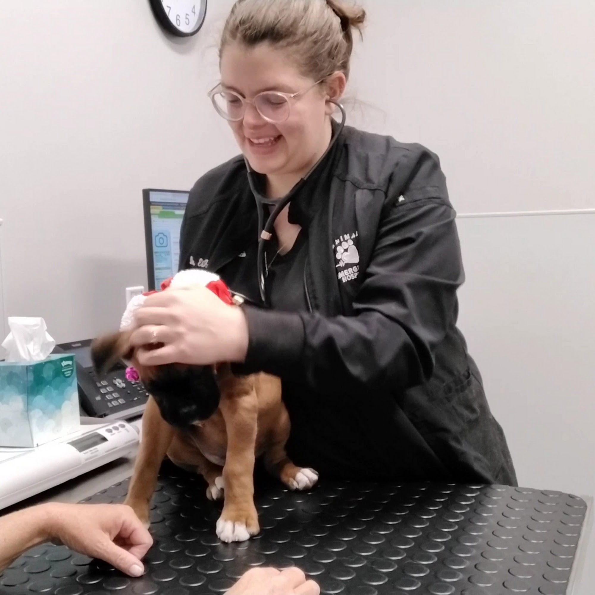 Animal Medical Center of Wyoming Wyoming