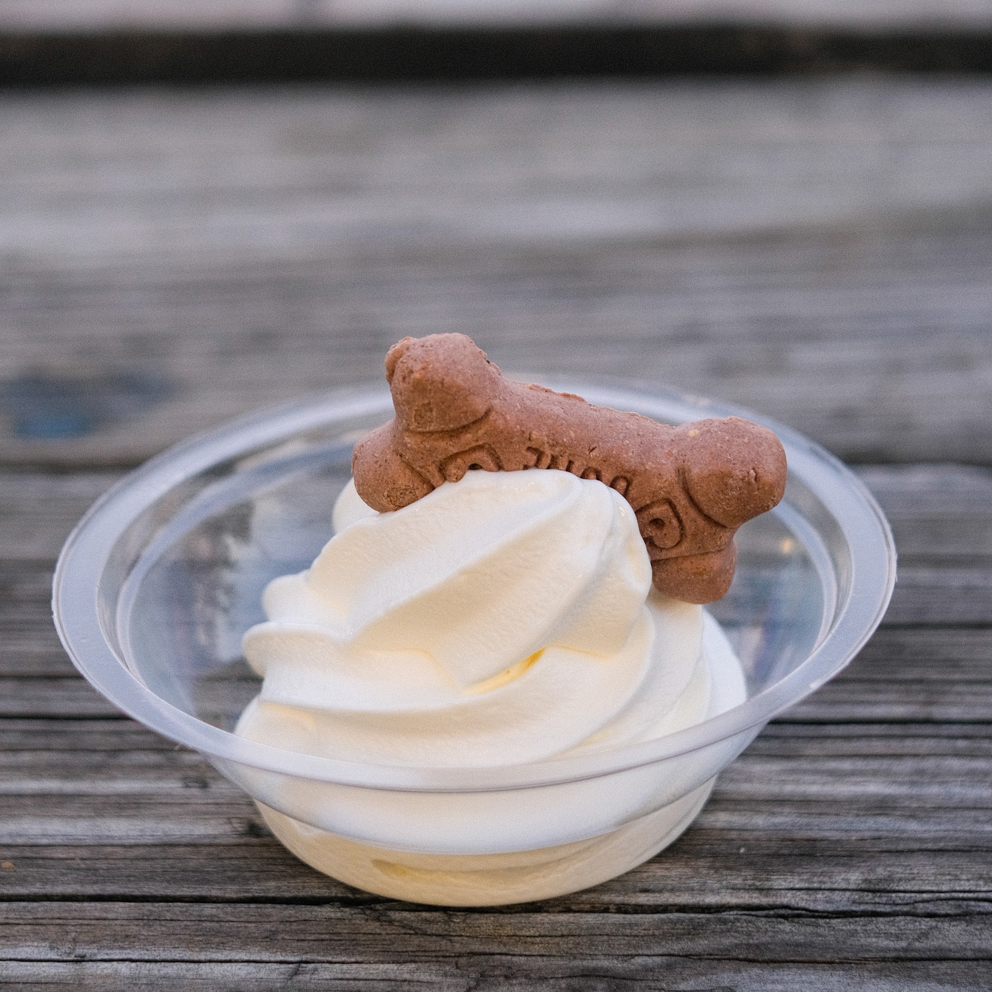 Ice Cream Time Ypsilanti