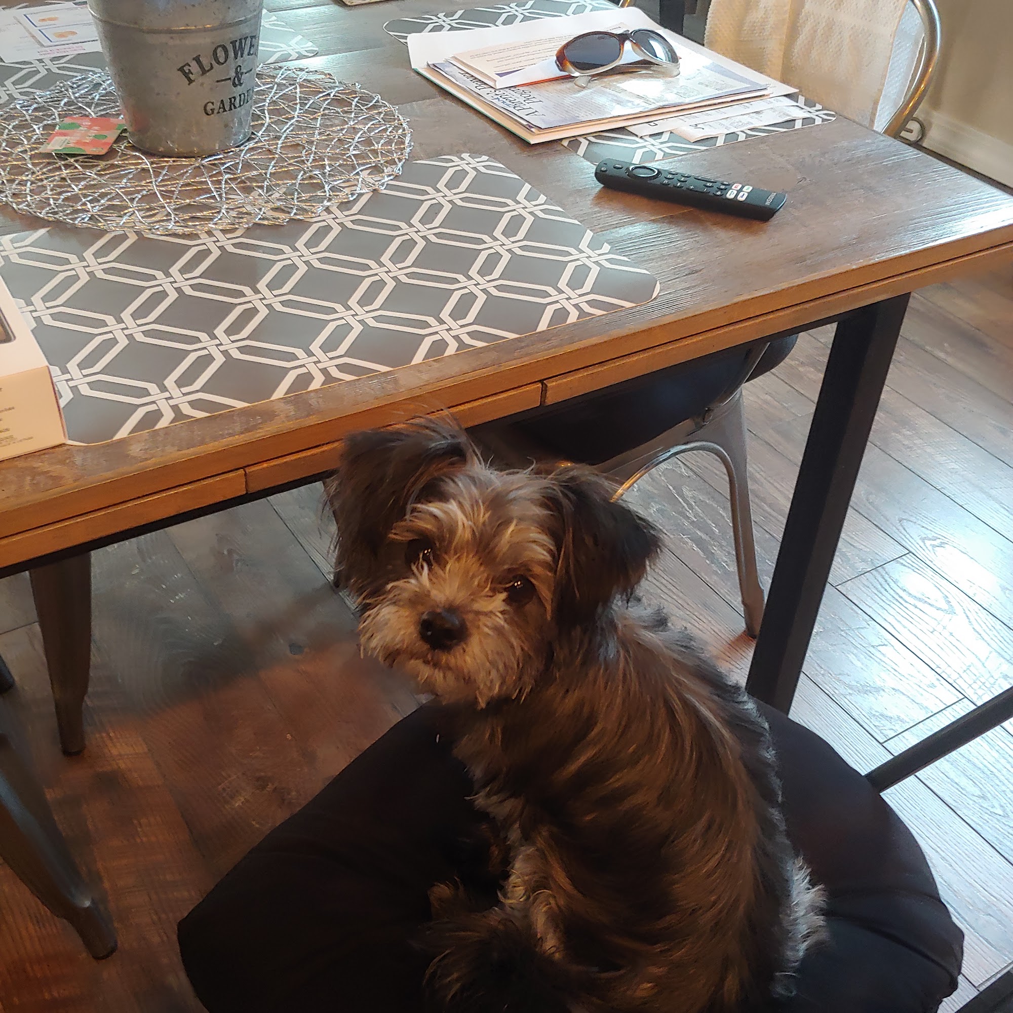 Iron Range Vet Clinic - Aitkin Aitkin