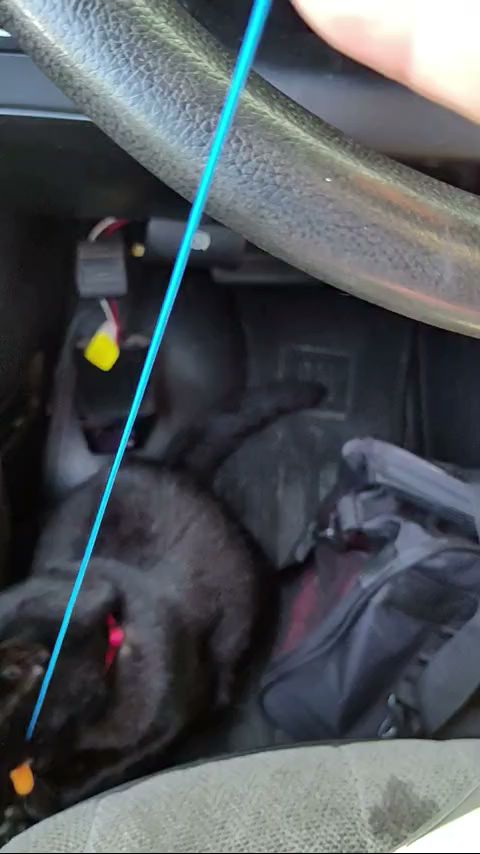 Iron Range Vet Clinic - Aitkin Aitkin