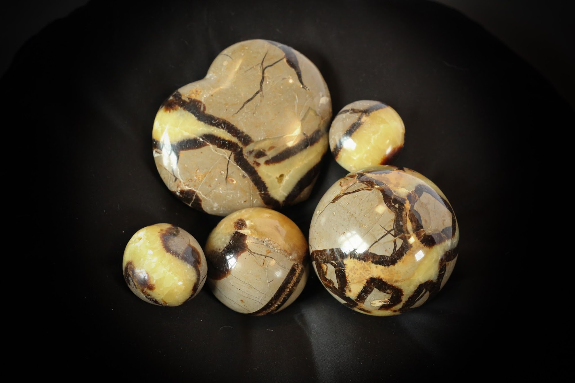 Seremeta Salon and Wellness Center 131 8th St S, Albany Minnesota 56307