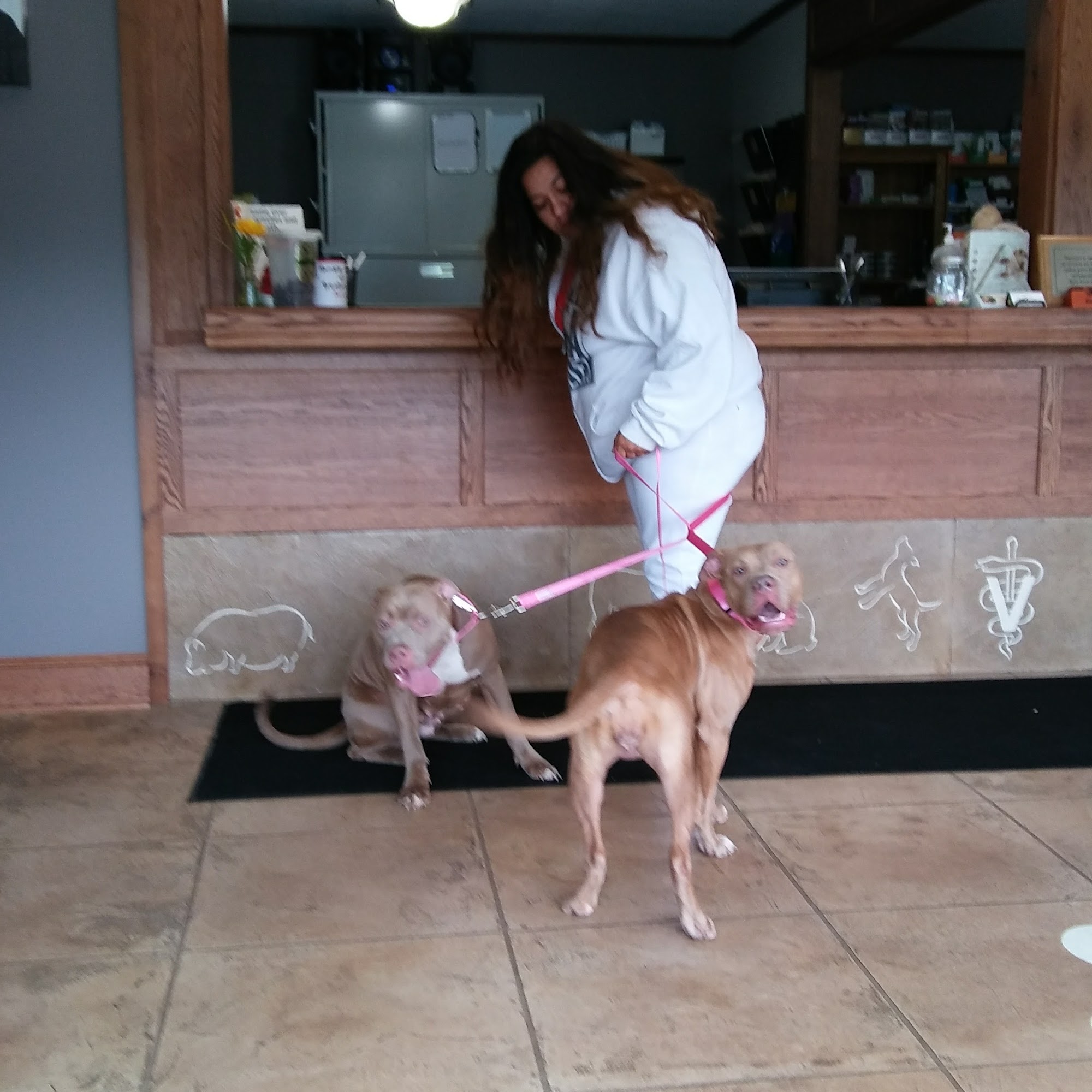 South Central Pet Care Albert Lea