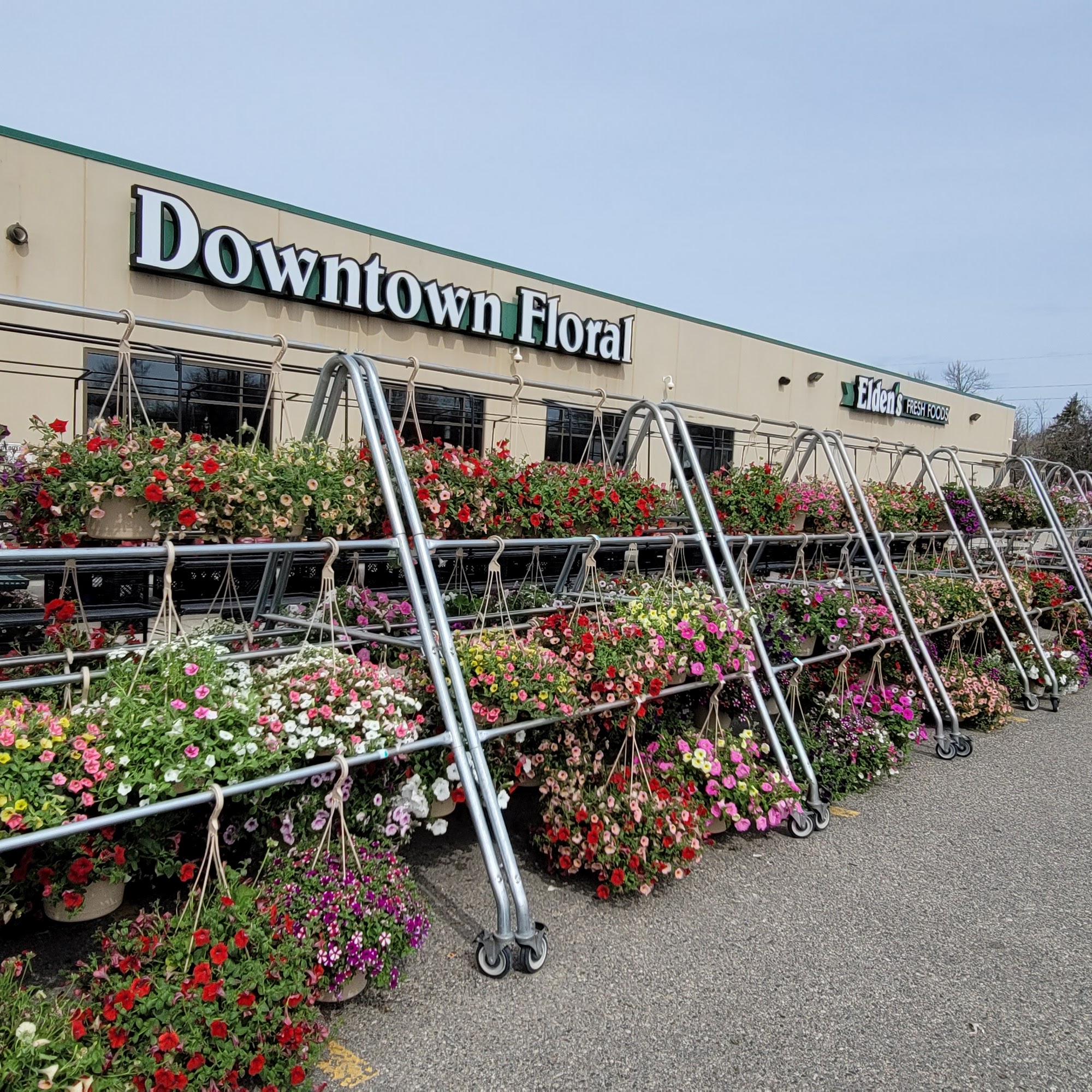 Downtown Floral 707 3rd Ave E, Alexandria Minnesota 56308
