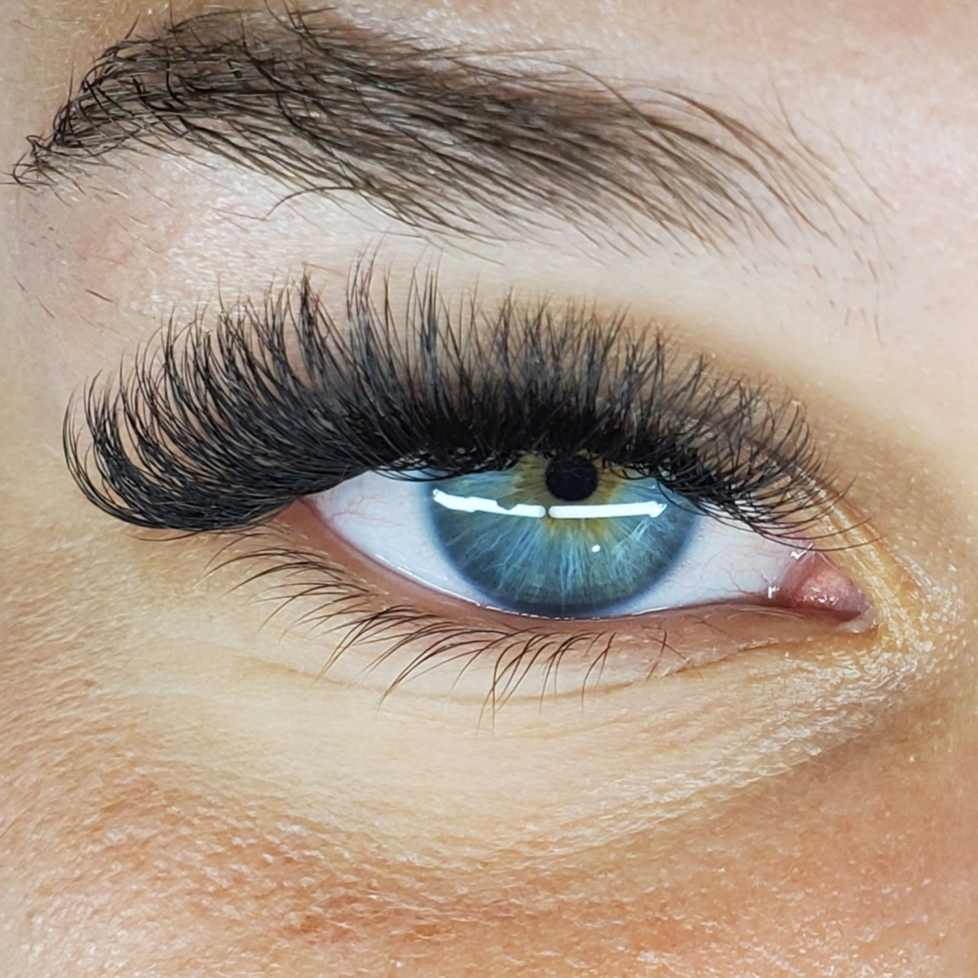 Lulu Lash