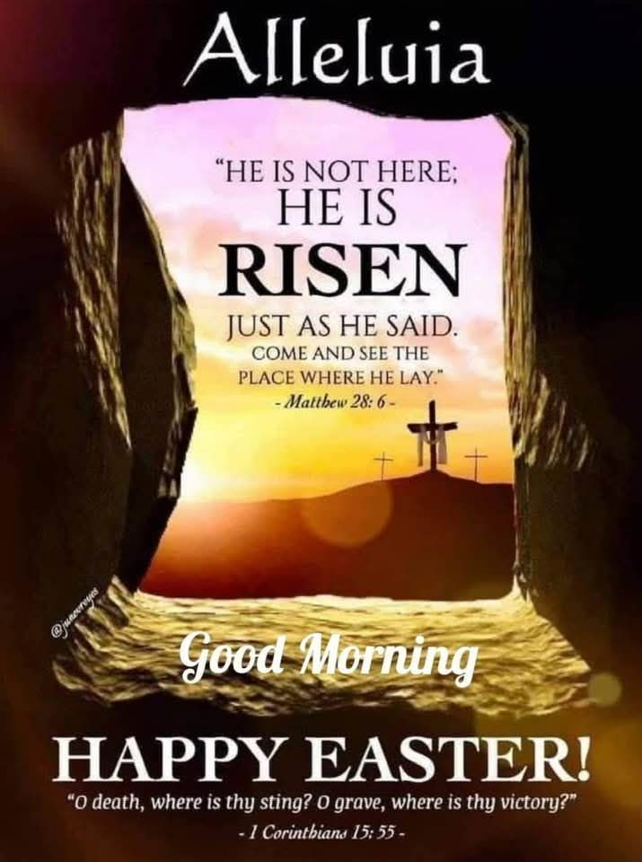 S&S Heating and Cooling