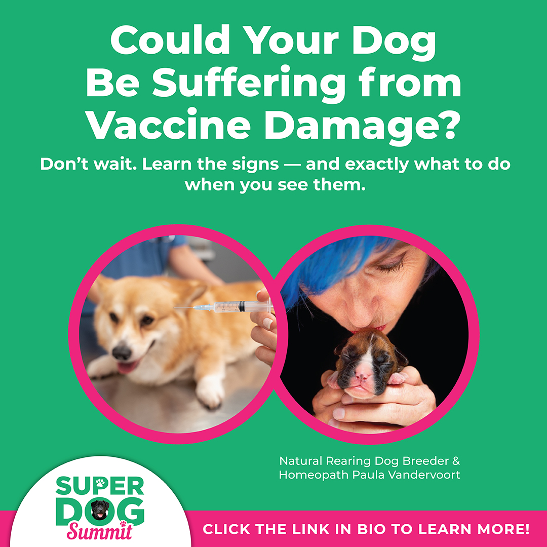 Holistic Veterinary Care Andover