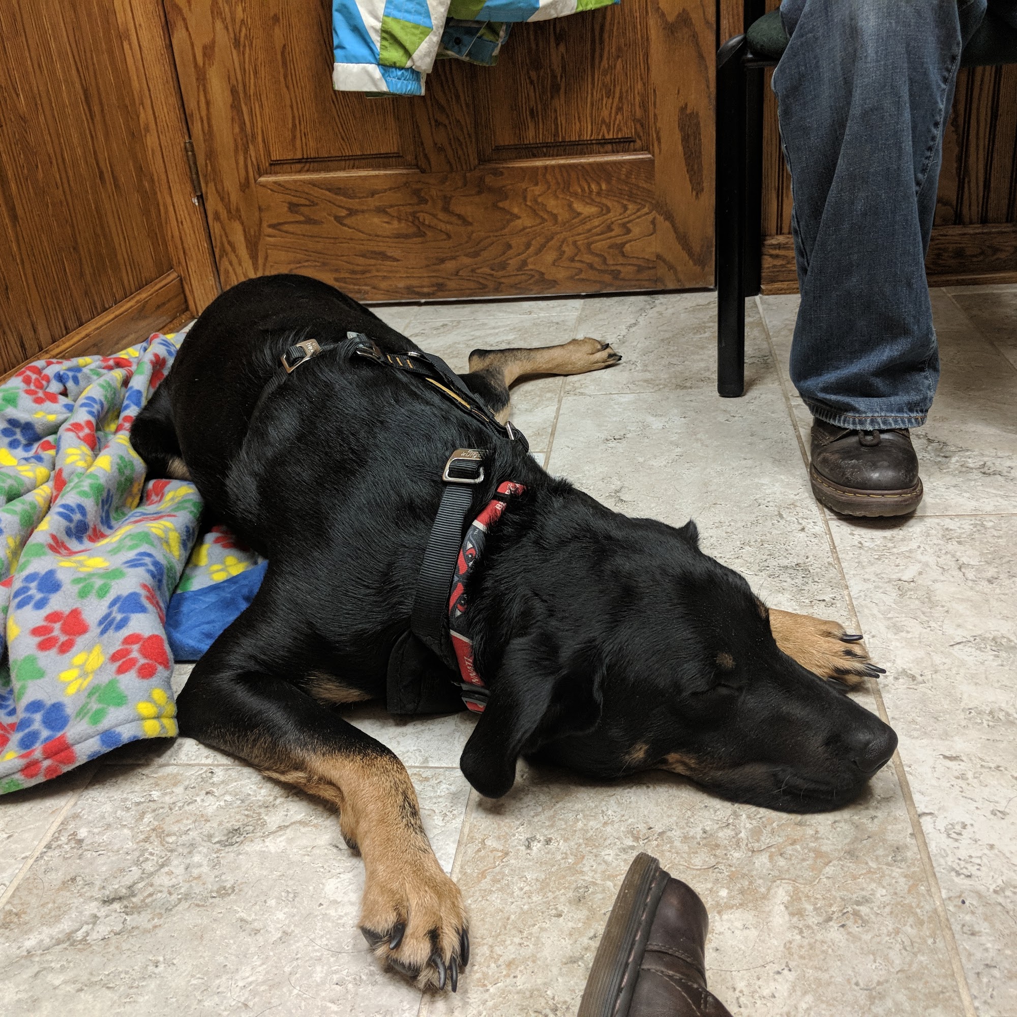 Rum River Veterinary Clinic Anoka