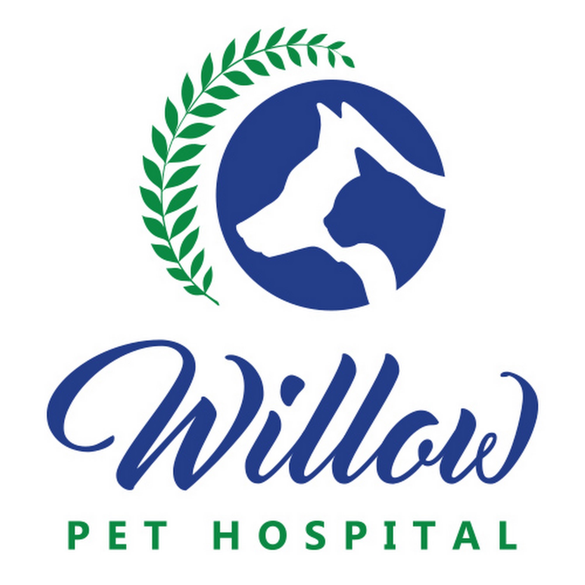 Willow Pet Hospital Austin
