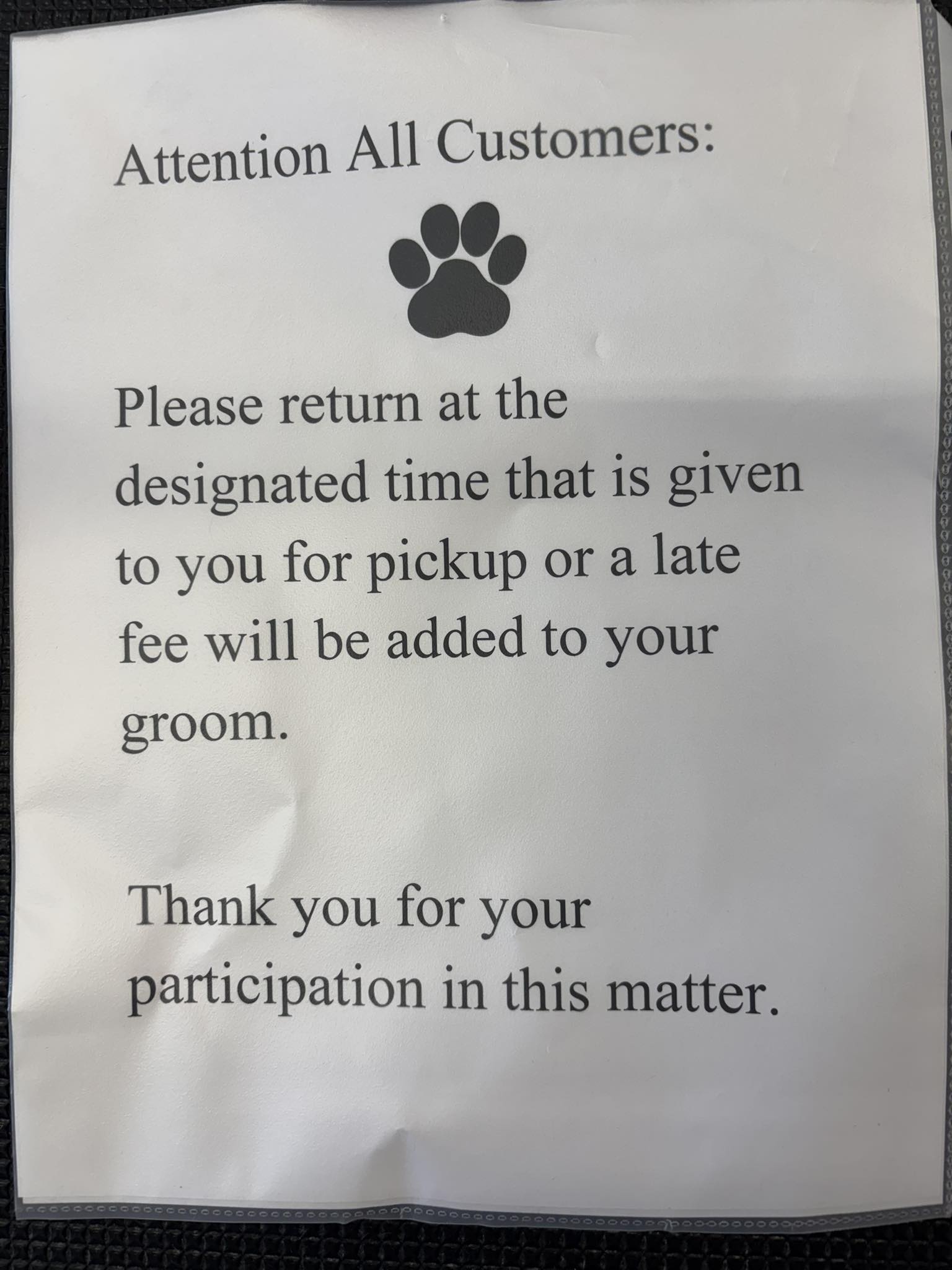 Furry Friends Dog Grooming