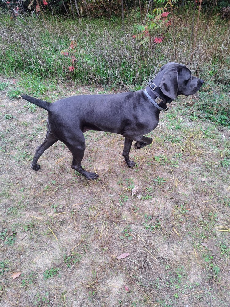 Eberts Matthew D DVM