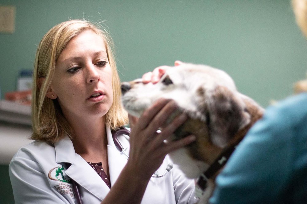 Eberts Matthew D DVM