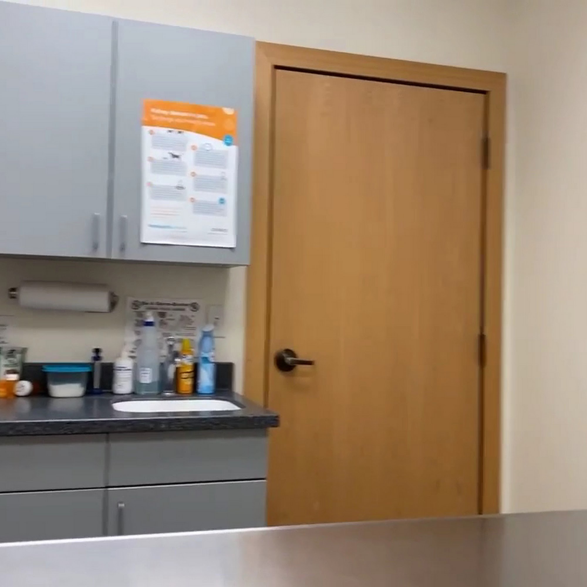 Bemidji Veterinary Hospital & Boarding Kennel Bemidji