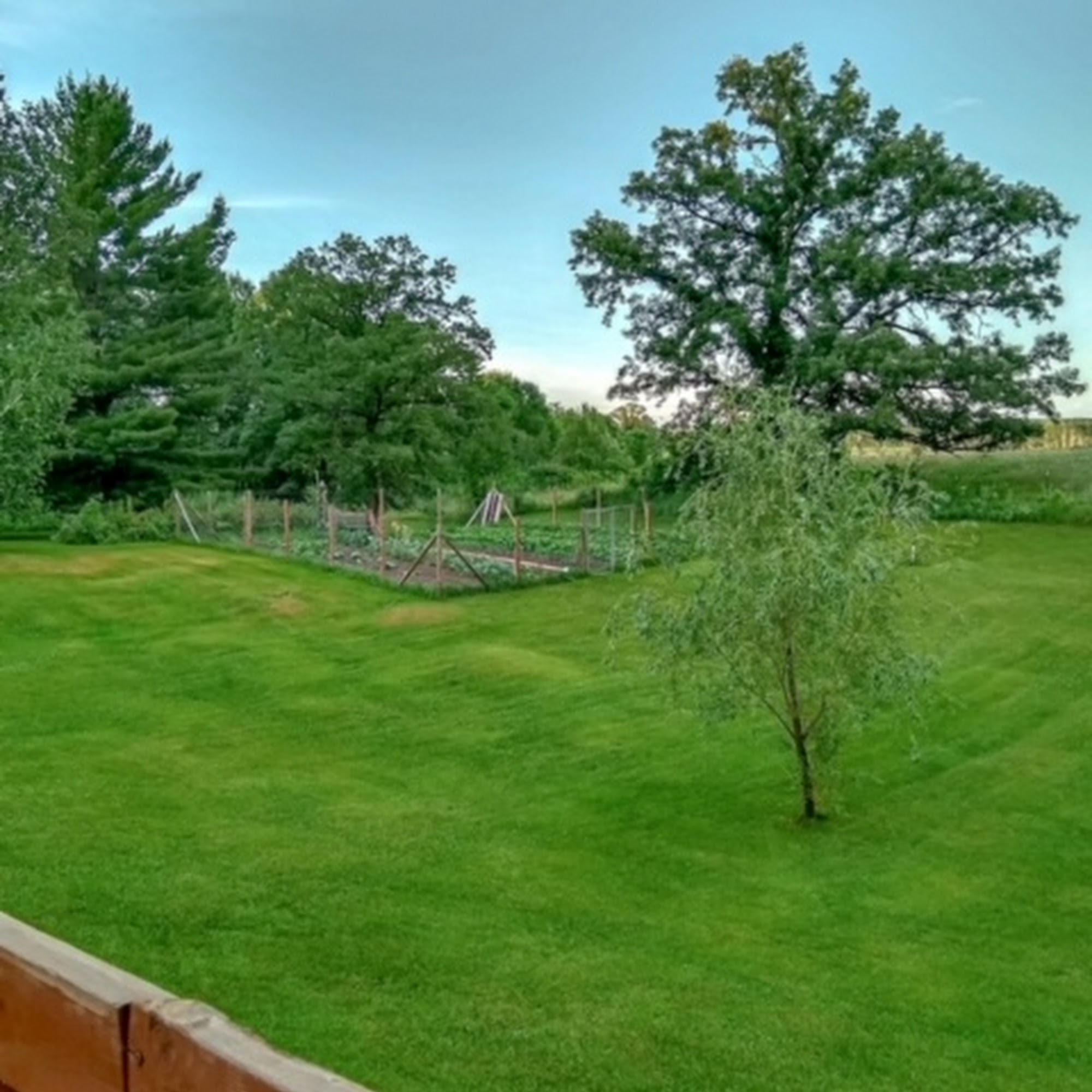 Bemidji Lawn & Snow Service