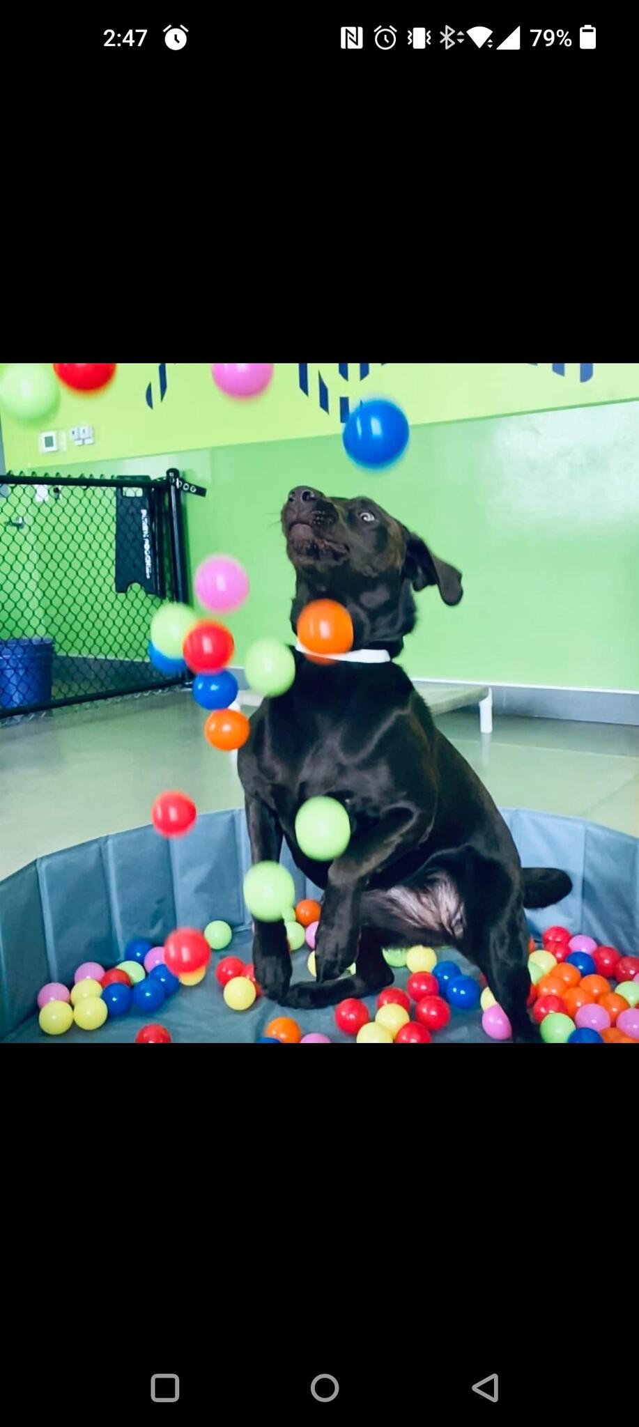 Photo credit: nextdoor