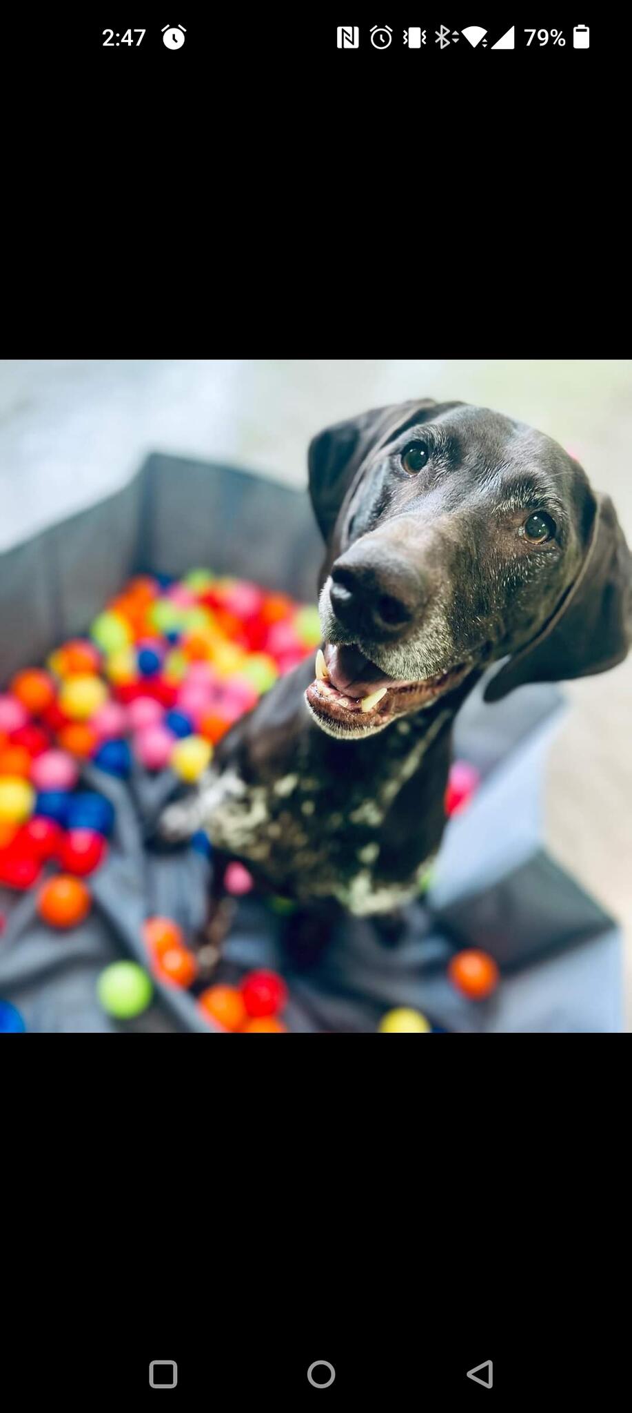 Photo credit: nextdoor