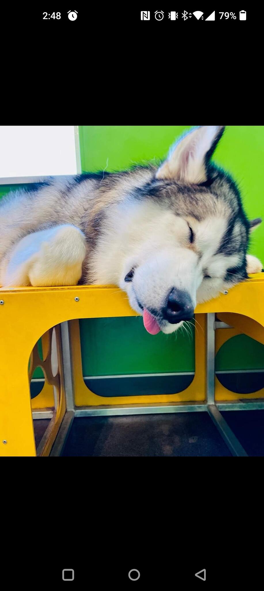 Photo credit: nextdoor