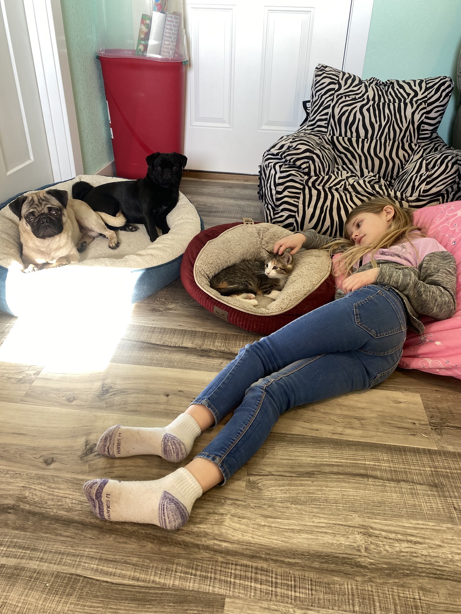 Paws for cause Blue Earth