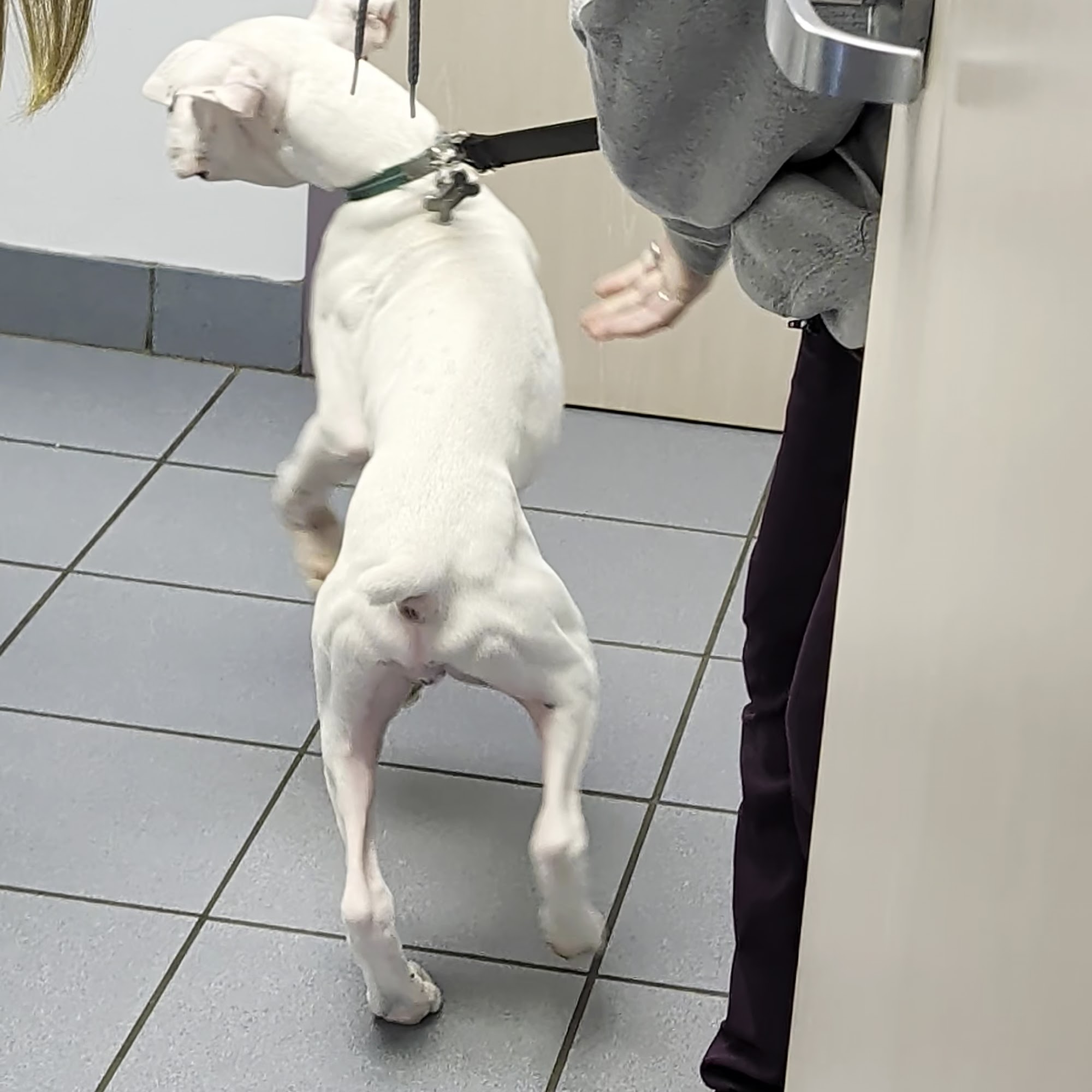 Compassionate Care Animal Hospital Brooklyn Park