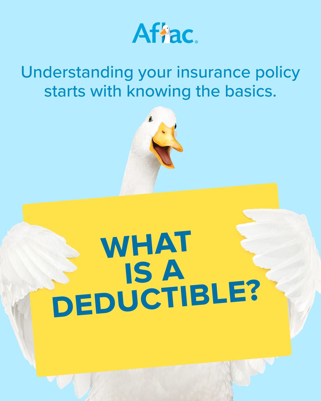 Nicole Duerre - Aflac Insurance Agent