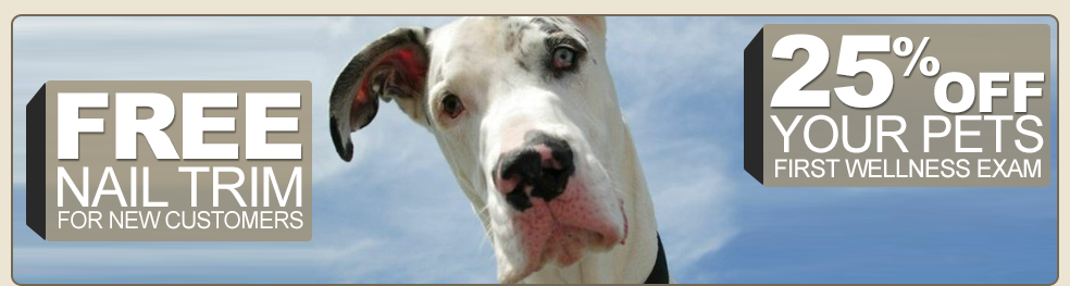 Crossroads Animal Hospital Burnsville