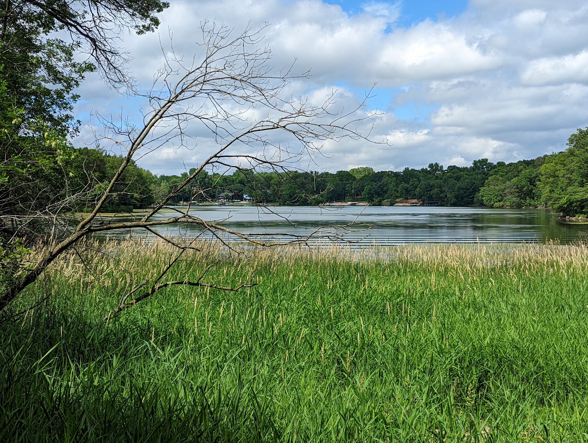 Alimagnet Dog Park Burnsville