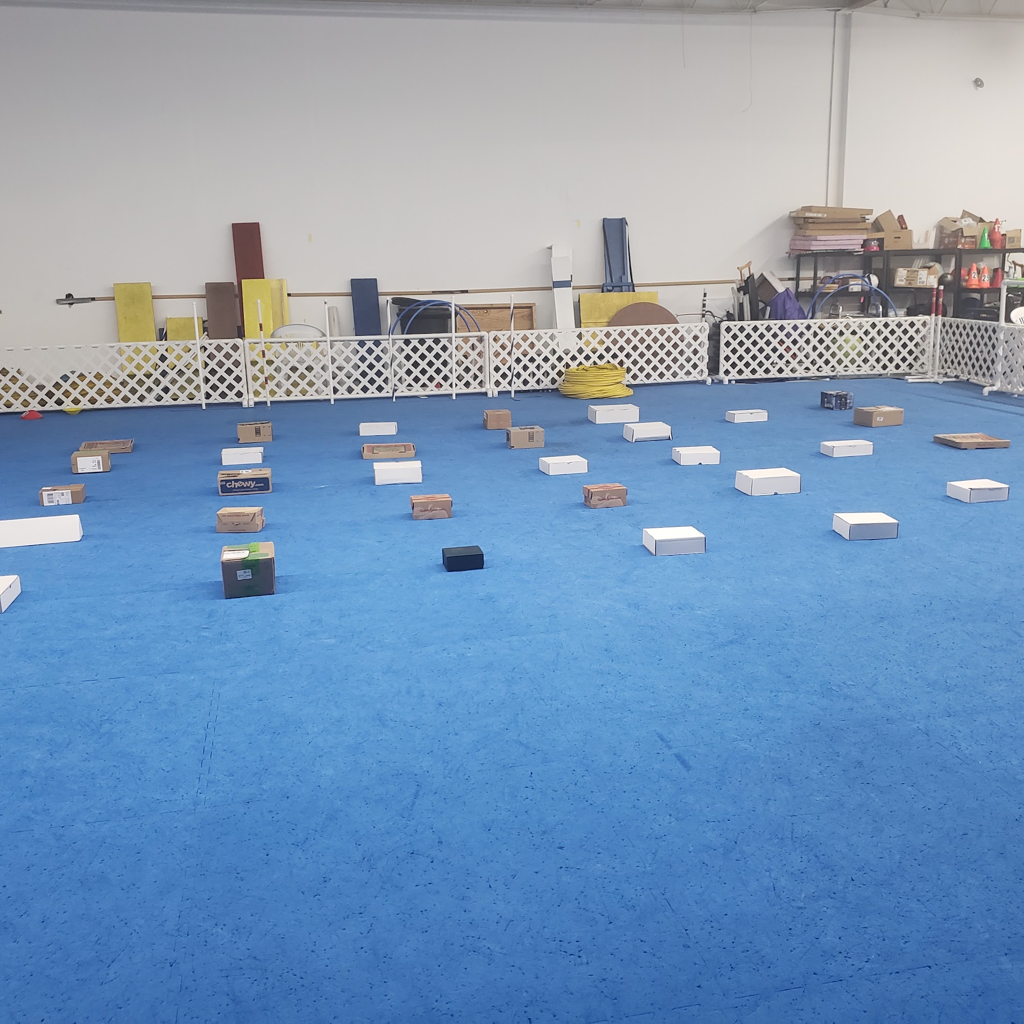 Tails We Win Dog Training Burnsville