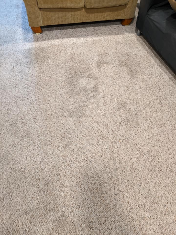 Green Planet Carpet/Upholstery