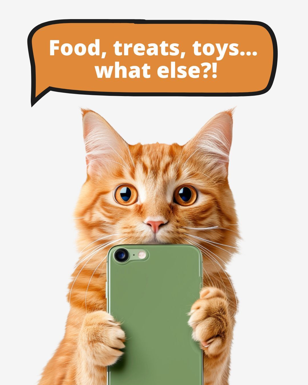 Parkway Pets Grooming Salon Burnsville