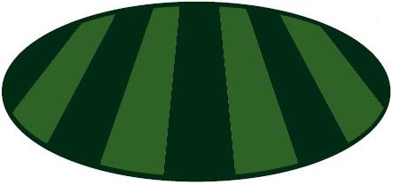 B & M Lawn & Landscape, Inc.