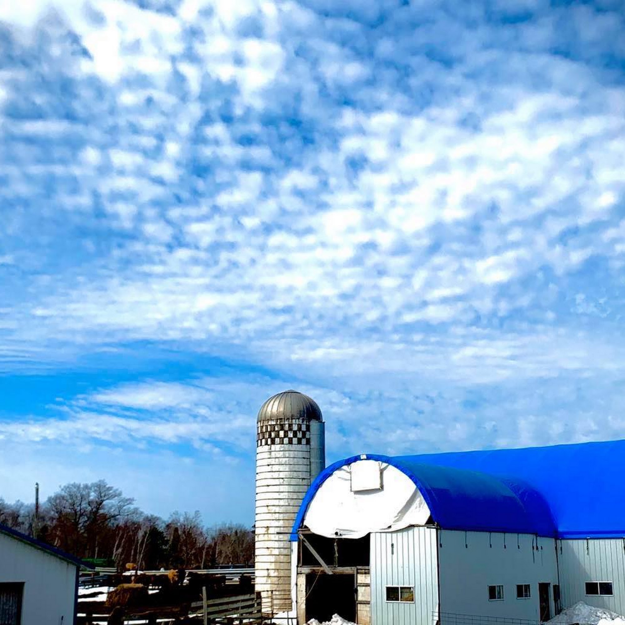 Promised Land Farm Carlton