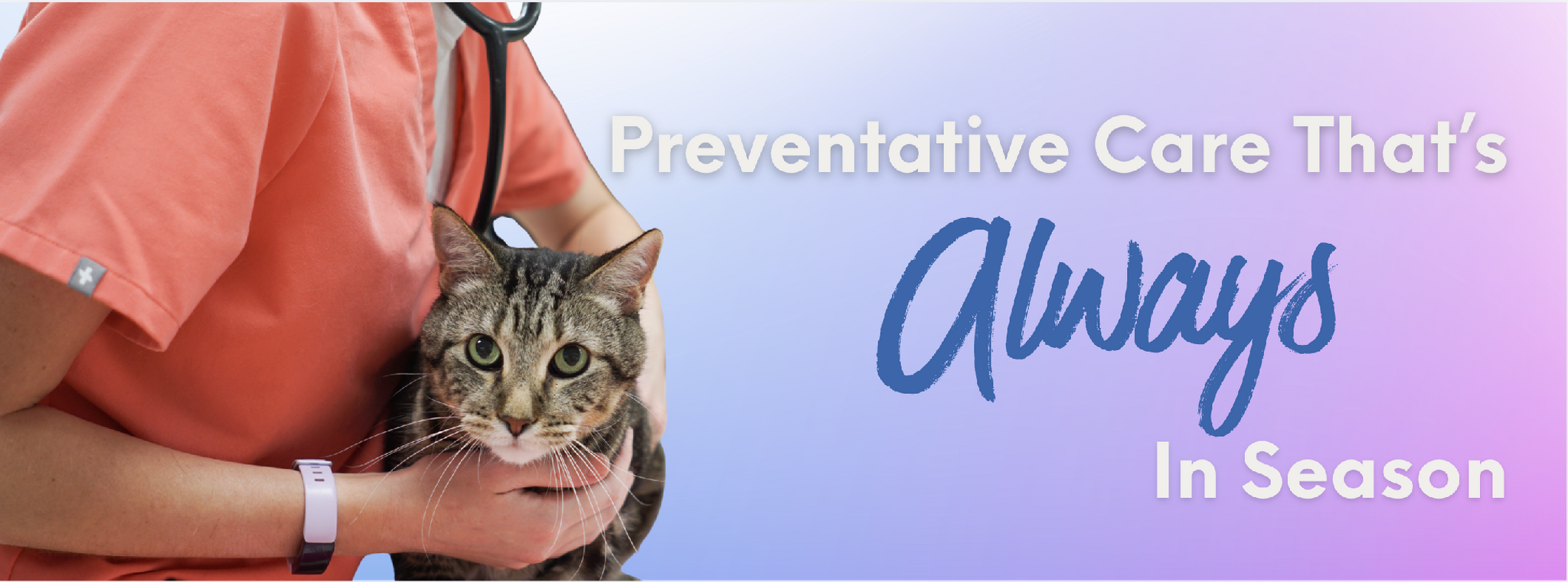 Chaska Valley Veterinary Clinic Chaska