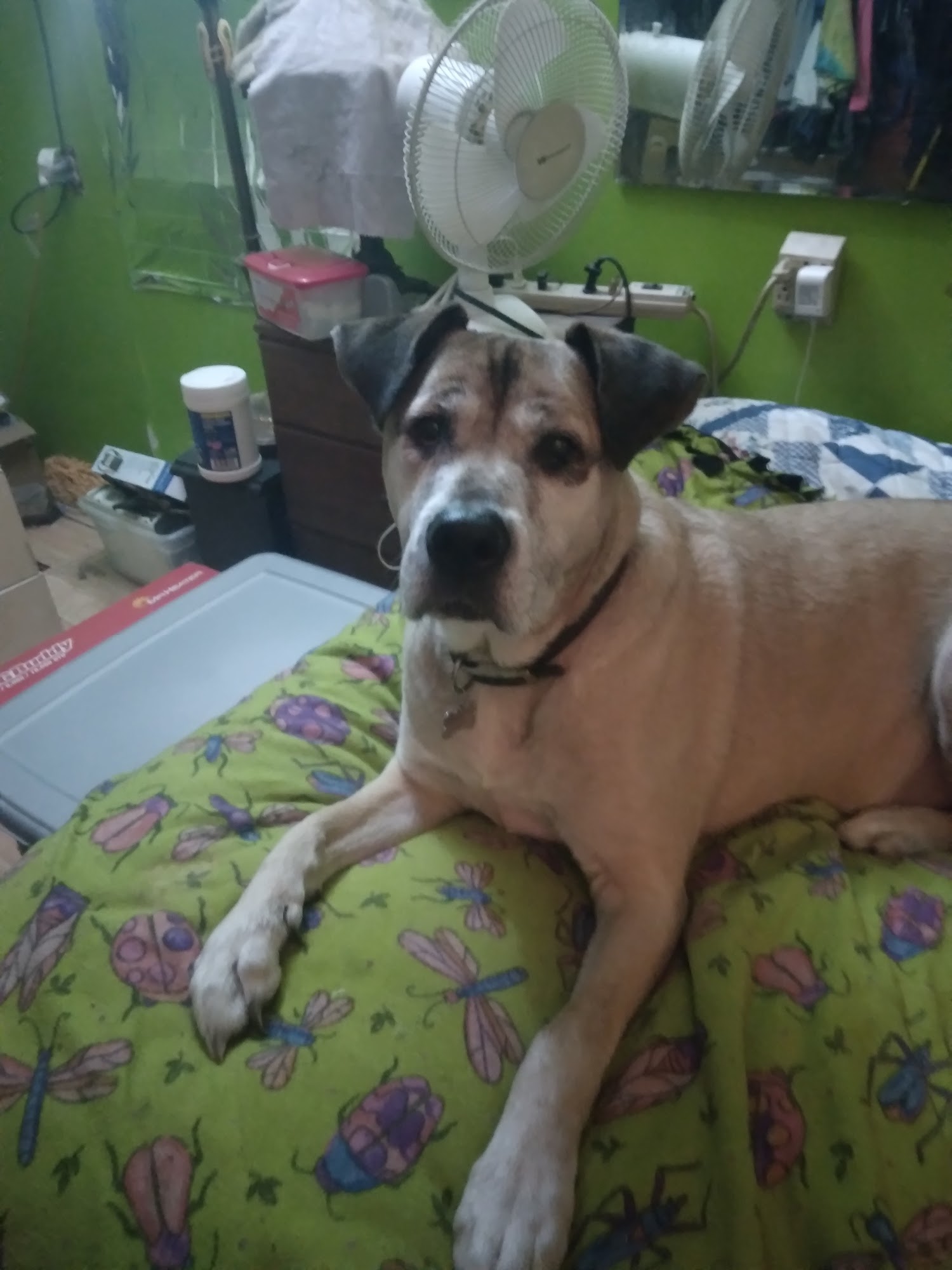 Vermilion Veterinary Clinic Cook