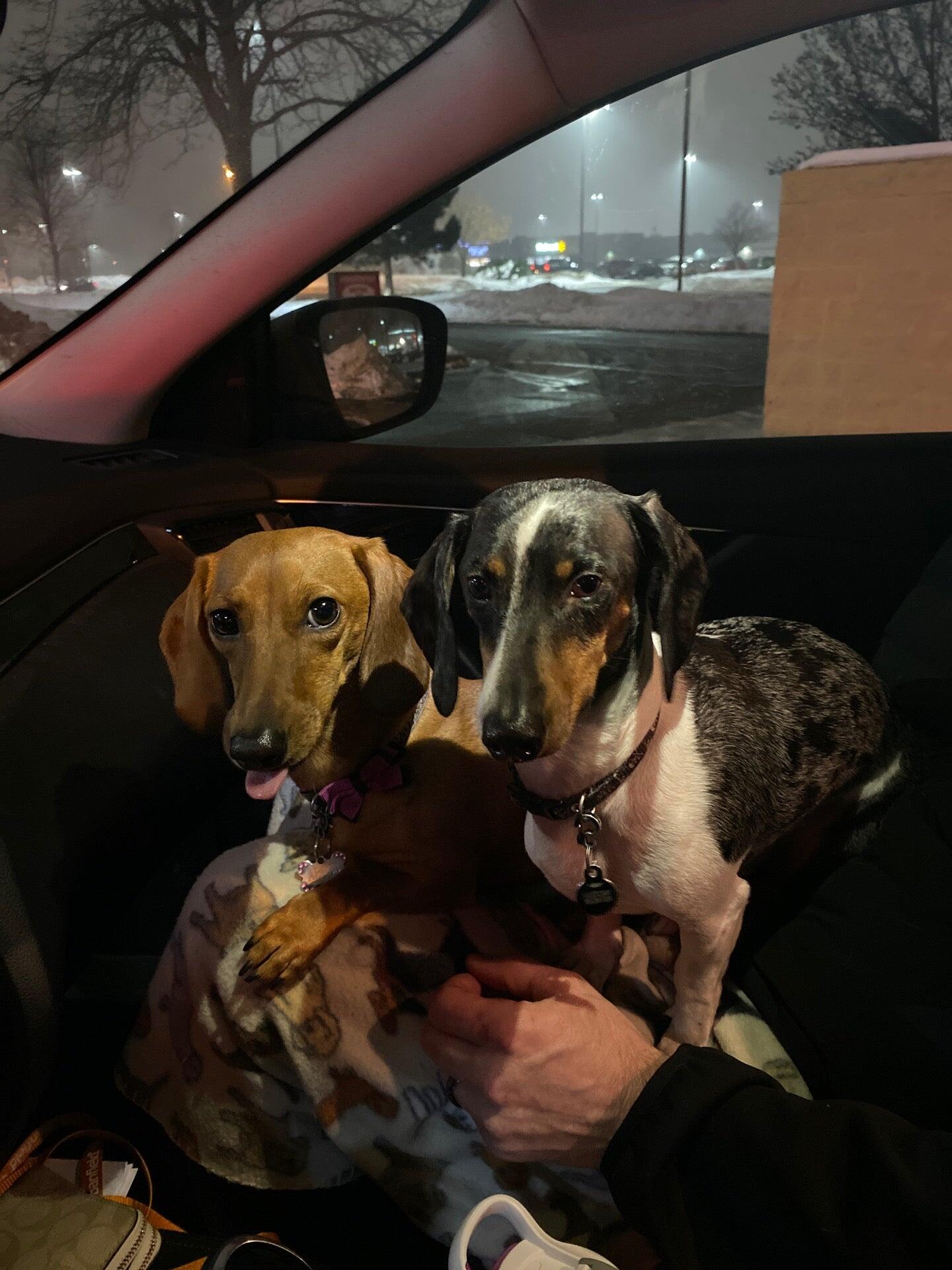 Photo credit: nextdoor