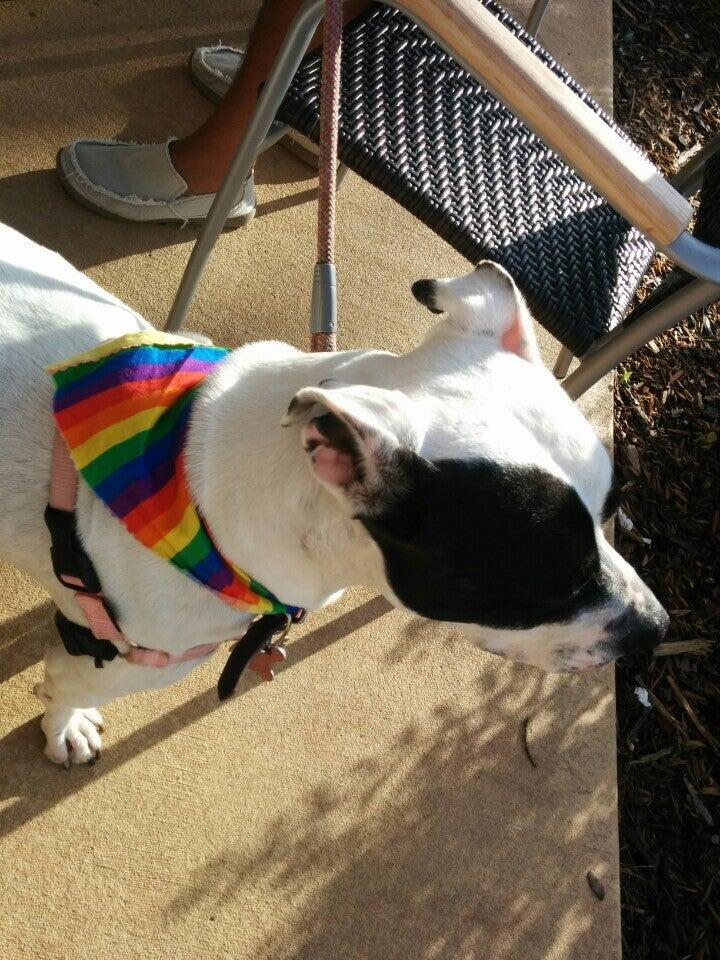 Photo credit: nextdoor