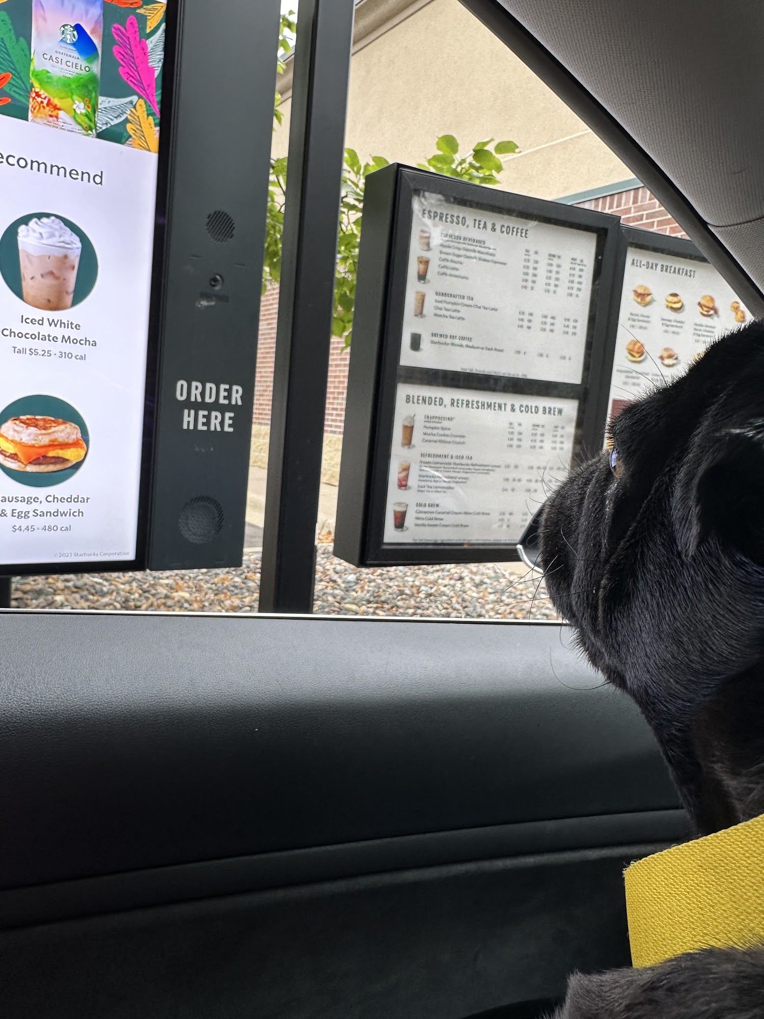 Starbucks Menu