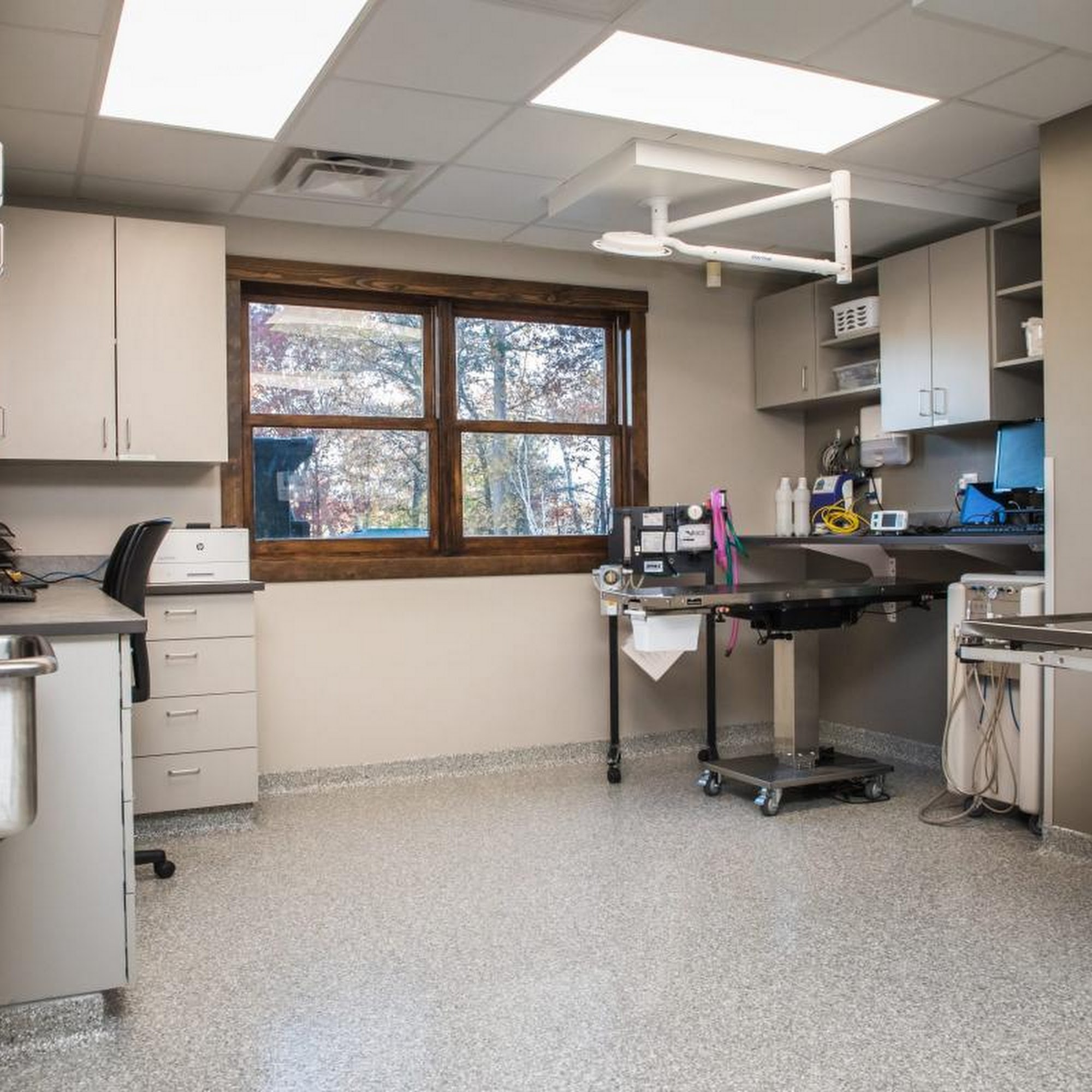 Crosslake Veterinary Hospital Crosslake