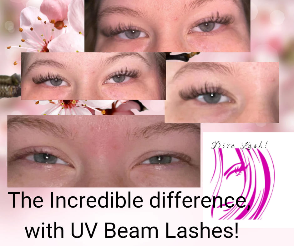 Diva Lash! In the Phenix Salon Suites, 145 Willow Bend Suite 117, Crystal Minnesota 55428