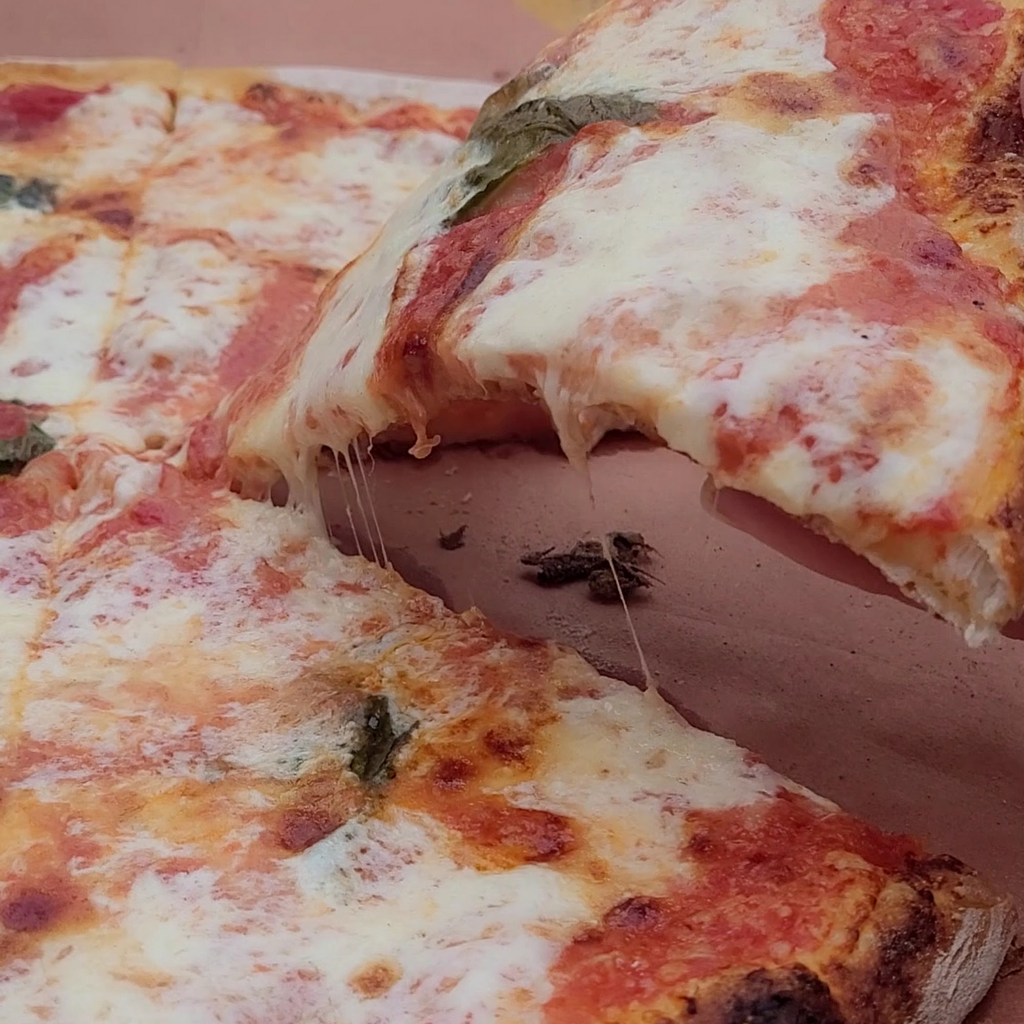 Ursa Minor Brewing Duluth