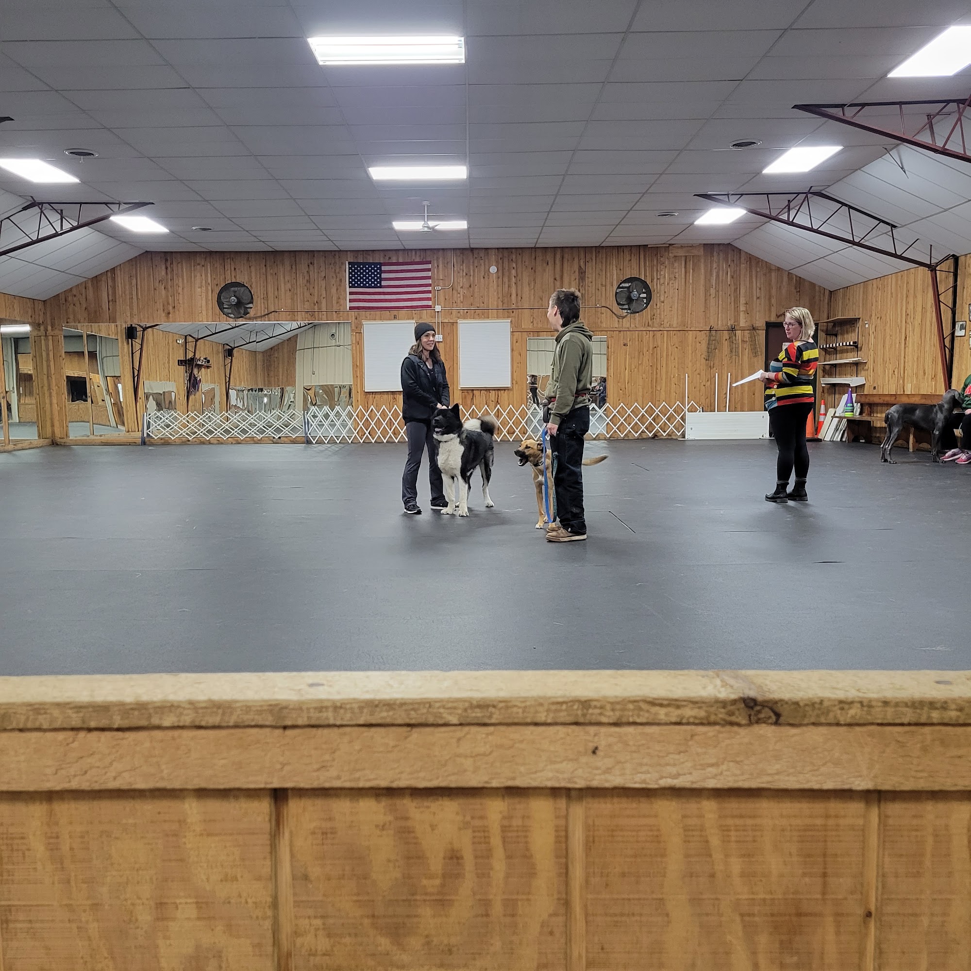 Twin Ports Dog Training Club Duluth