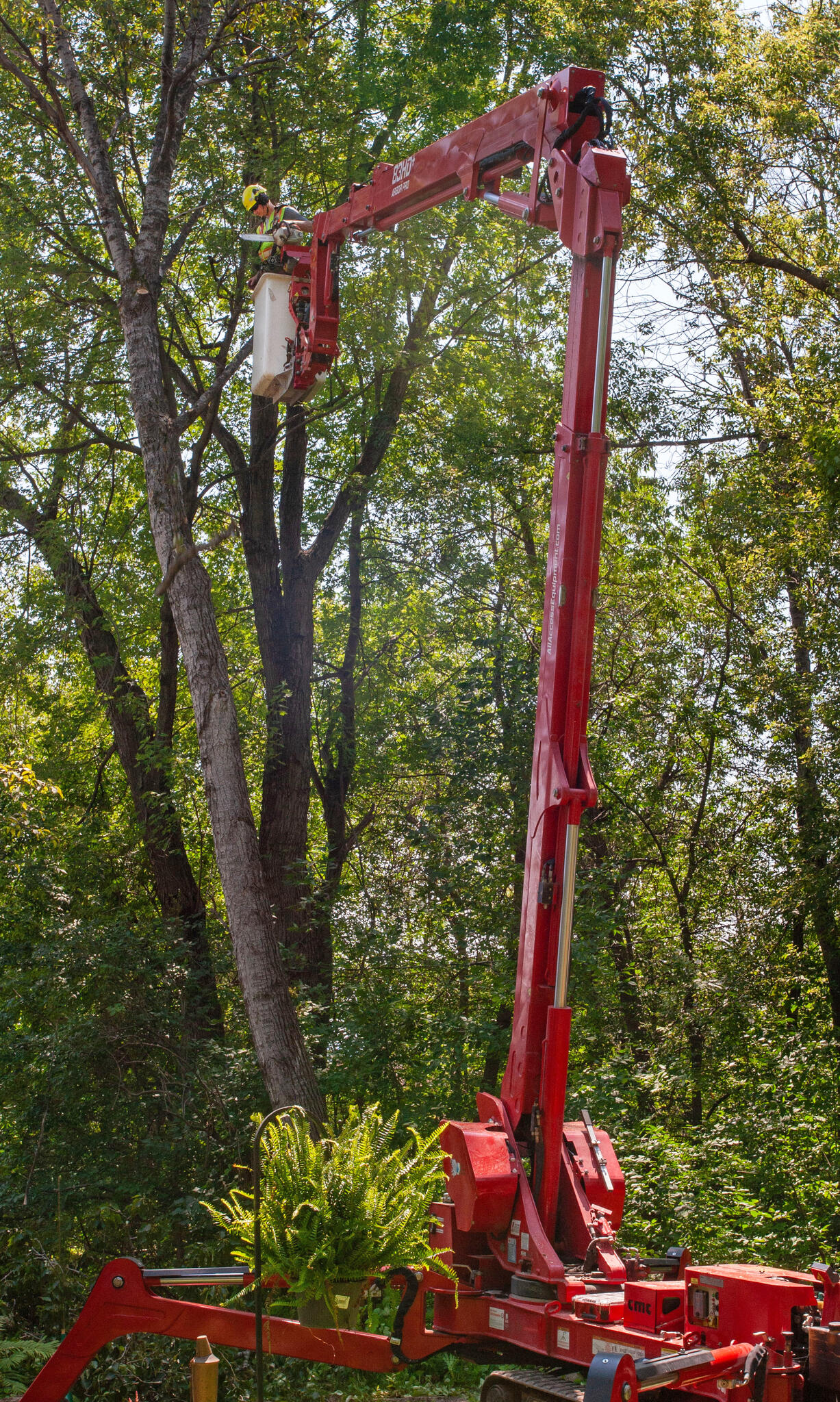 Photo credit: nextdoor